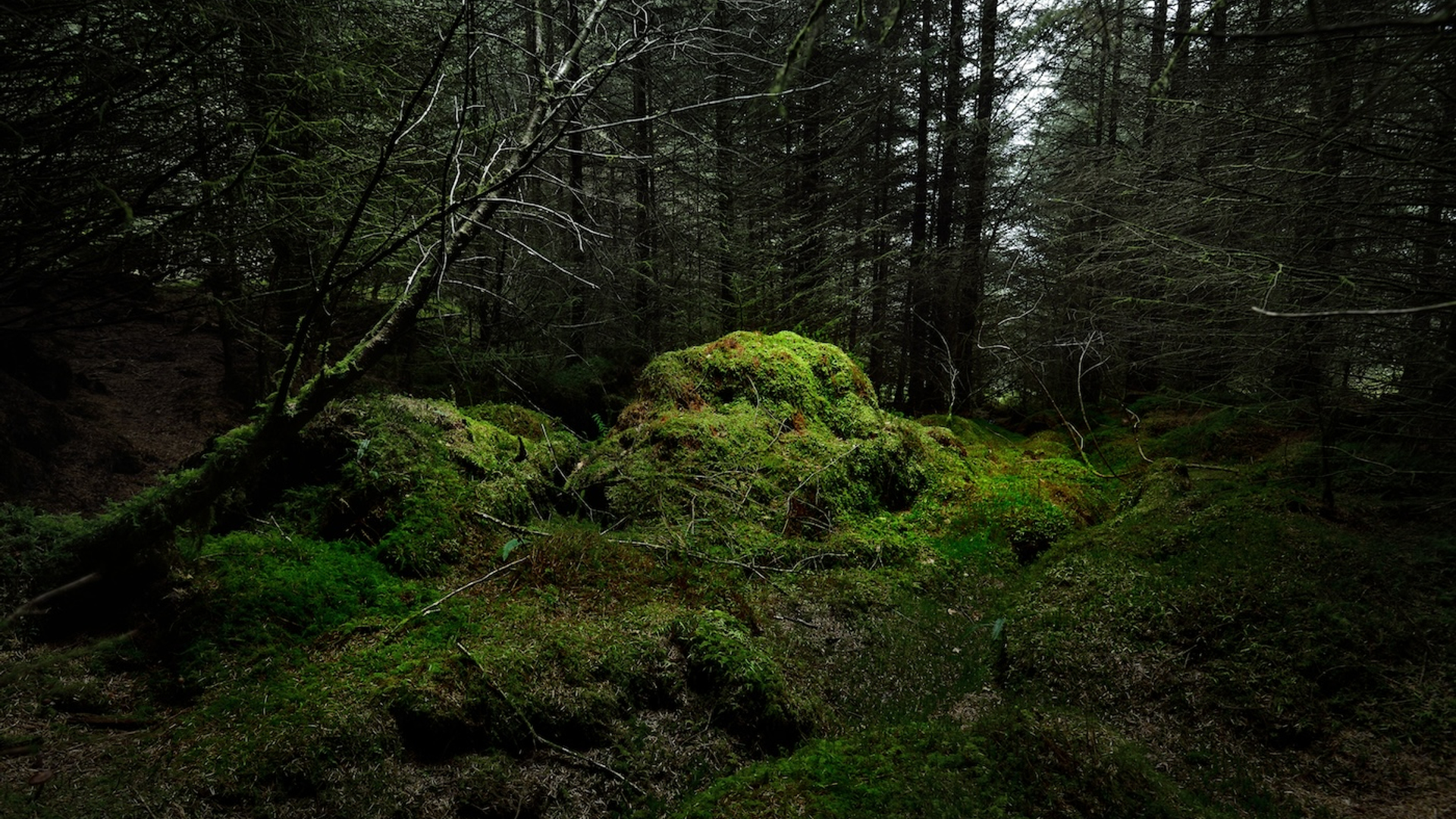 Aastels._-1725453652