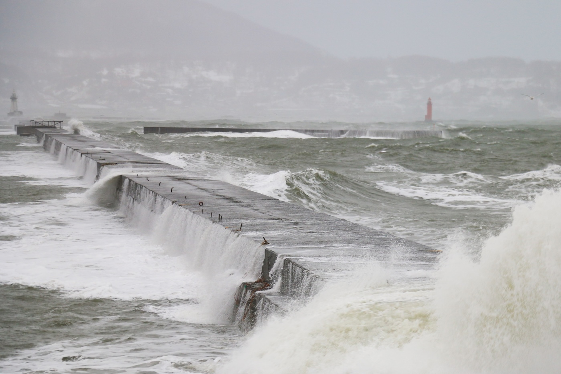 shutterstock_1413491477-1753880448