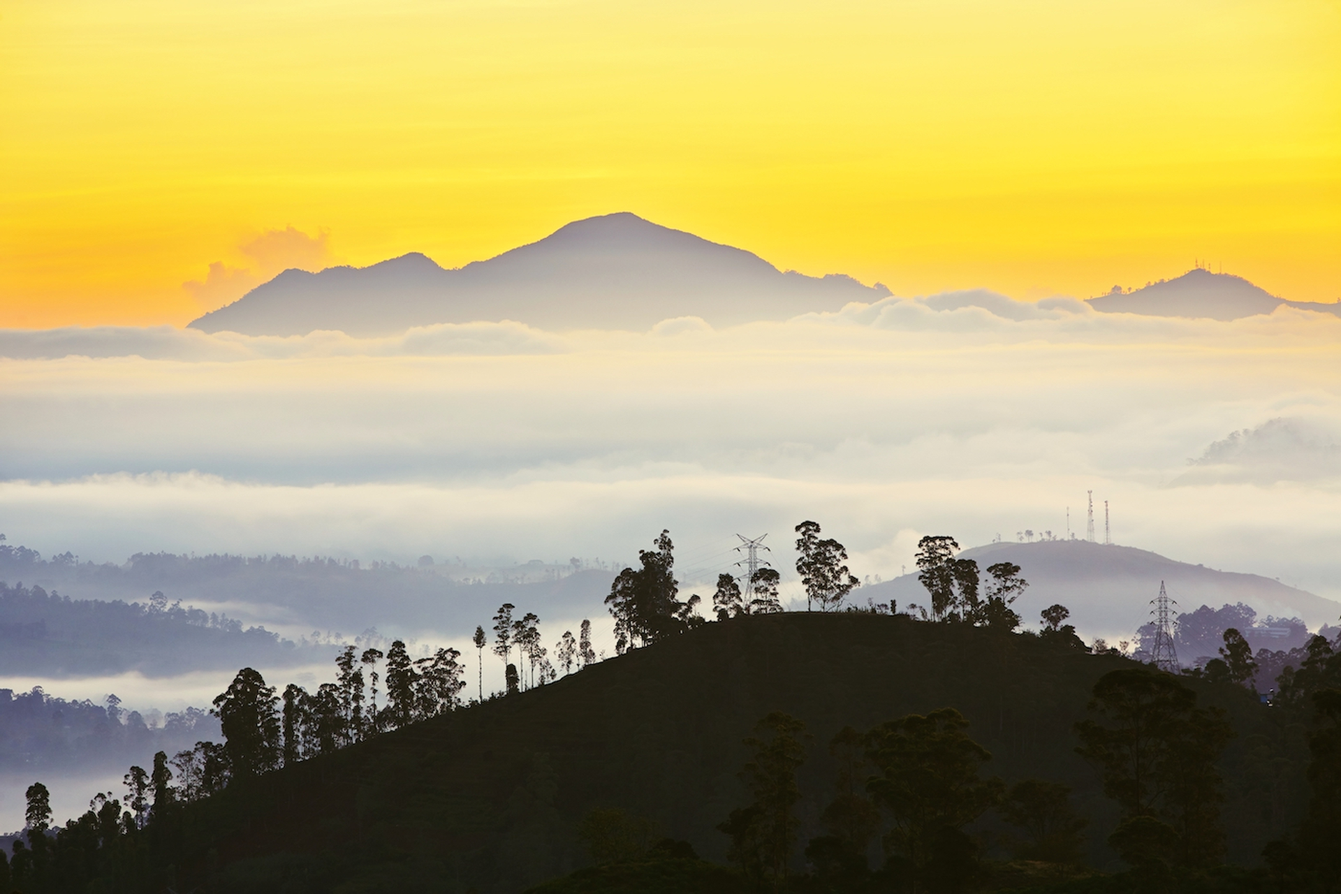 shutterstock_162566660-1707731935