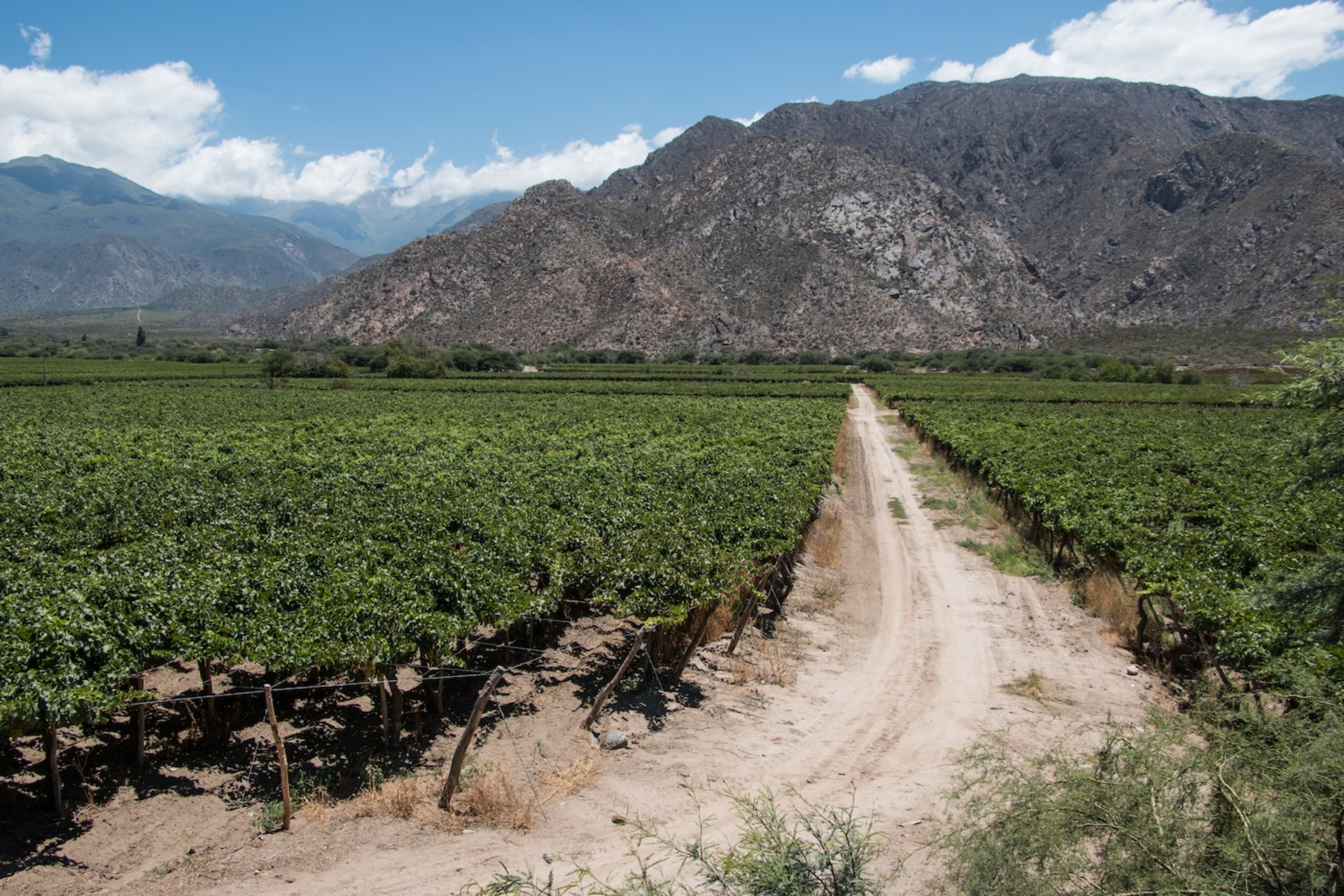 shutterstock_1314006362-1750858857