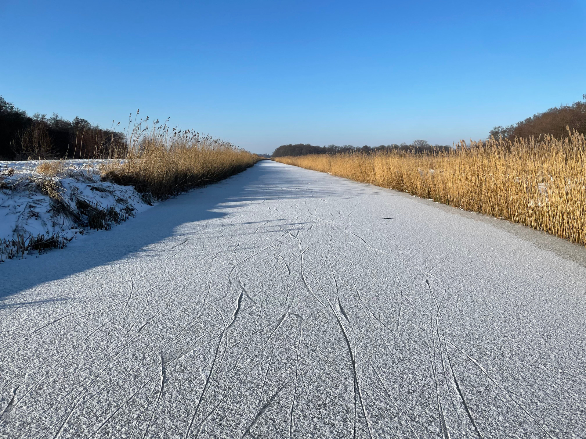 Jeroen_Zomers__Loosdrecht2-1614085715