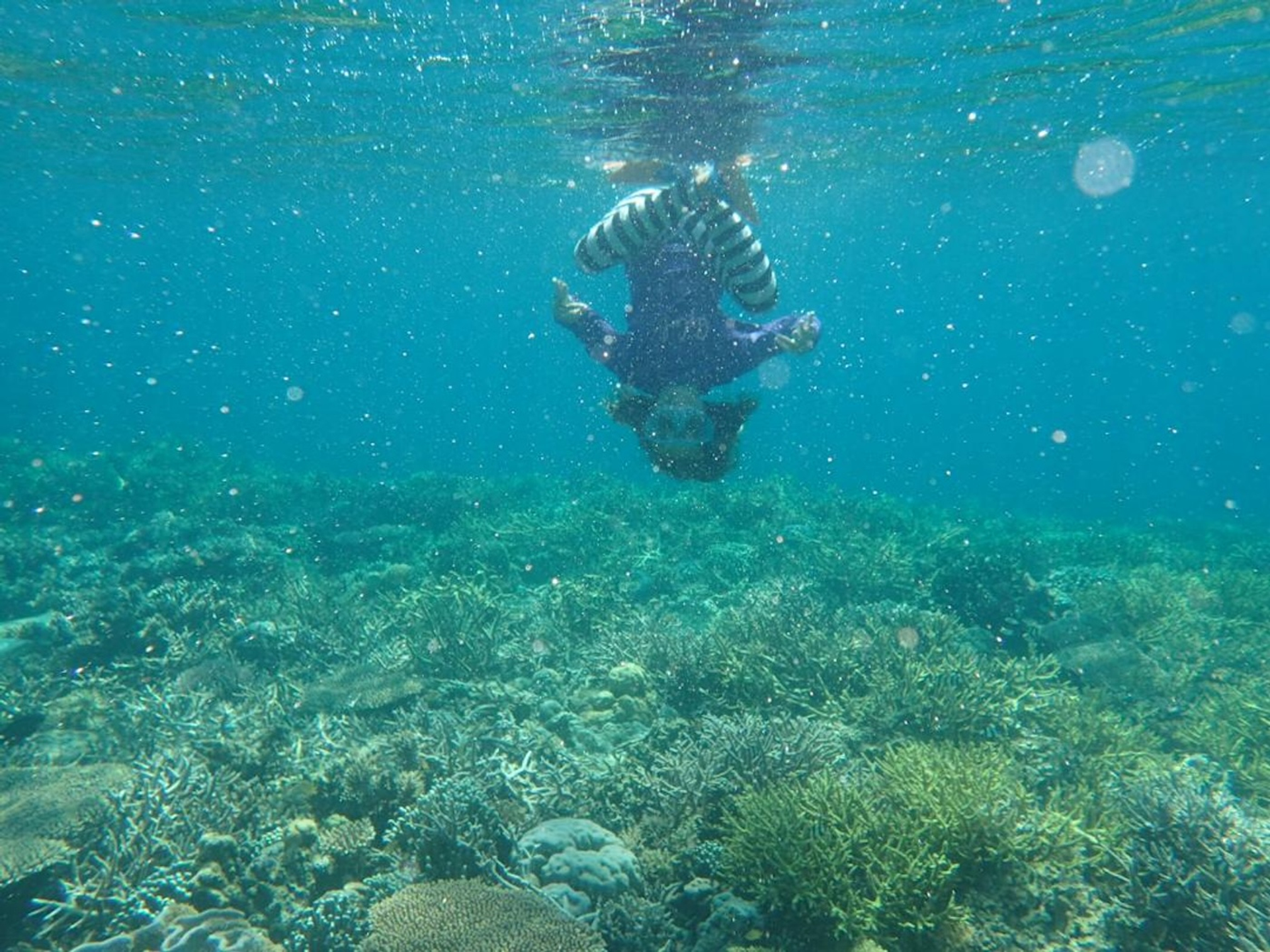 boat_life__1_-1746191806