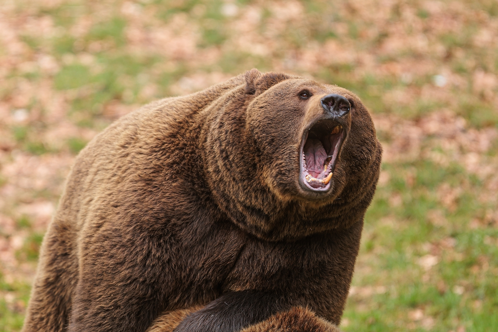 shutterstock_2302977119-1697117910