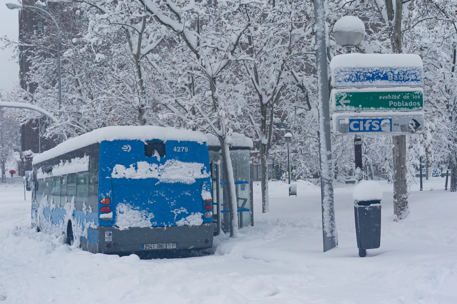 shutterstock_1890312712-1610532588