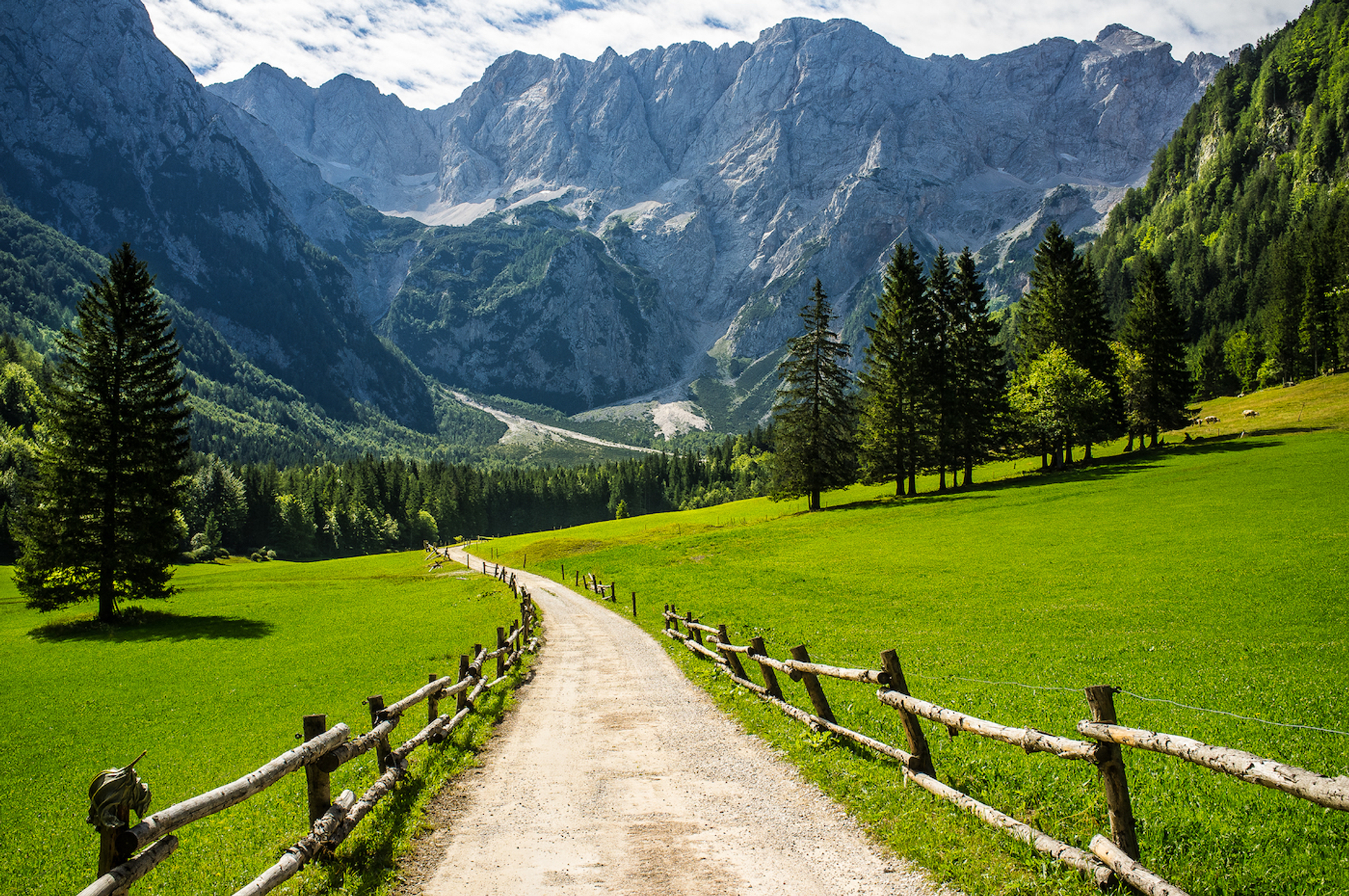 shutterstock_702204853-1653994158