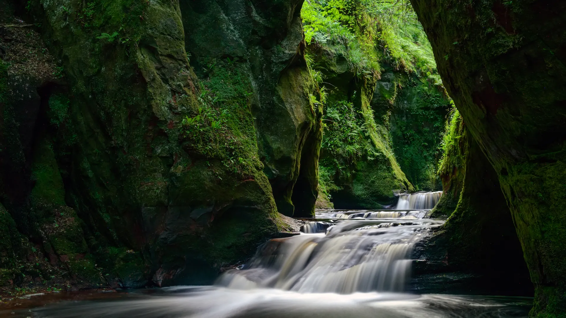 shutterstock_1134034649-1645098523