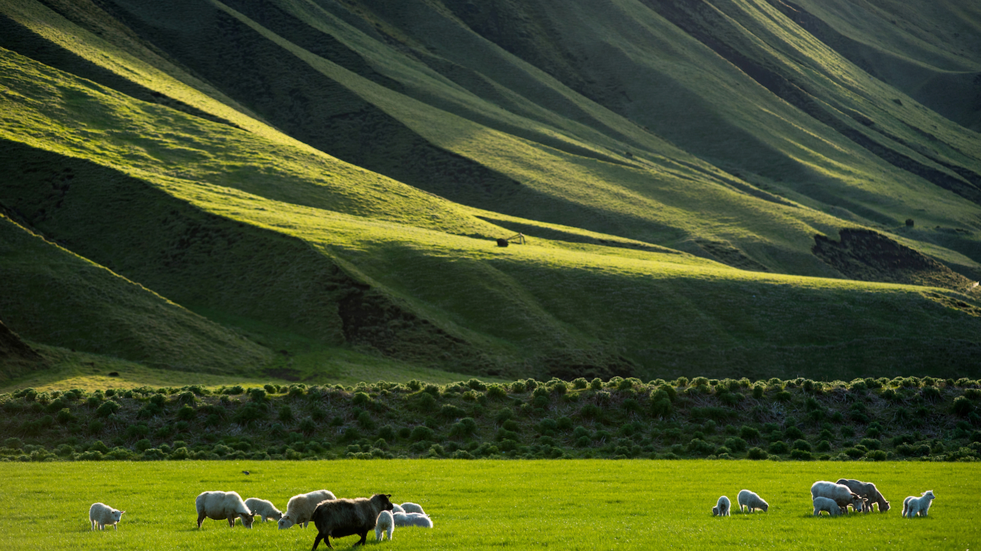 salajean___Shutterstock.com-1677168165