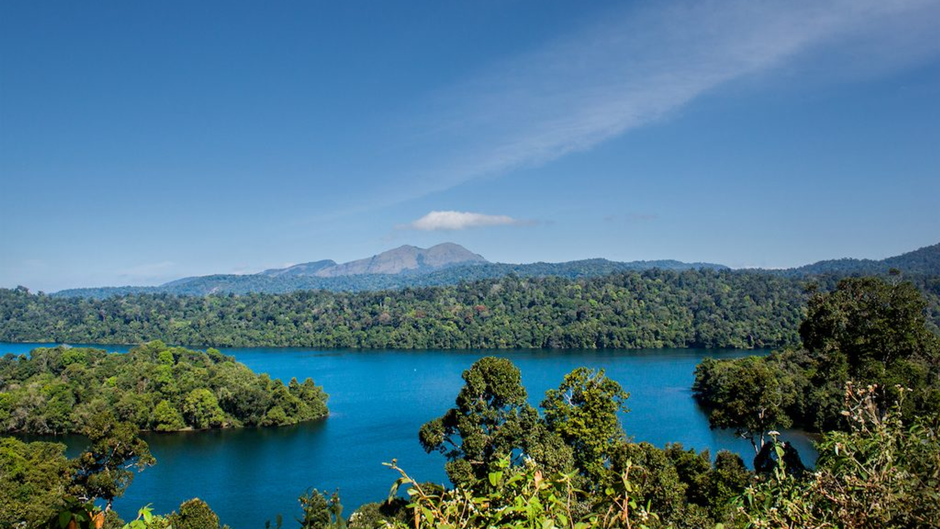 496a63fd-4d77-4368-9e62-df7a200812d8-1605104473