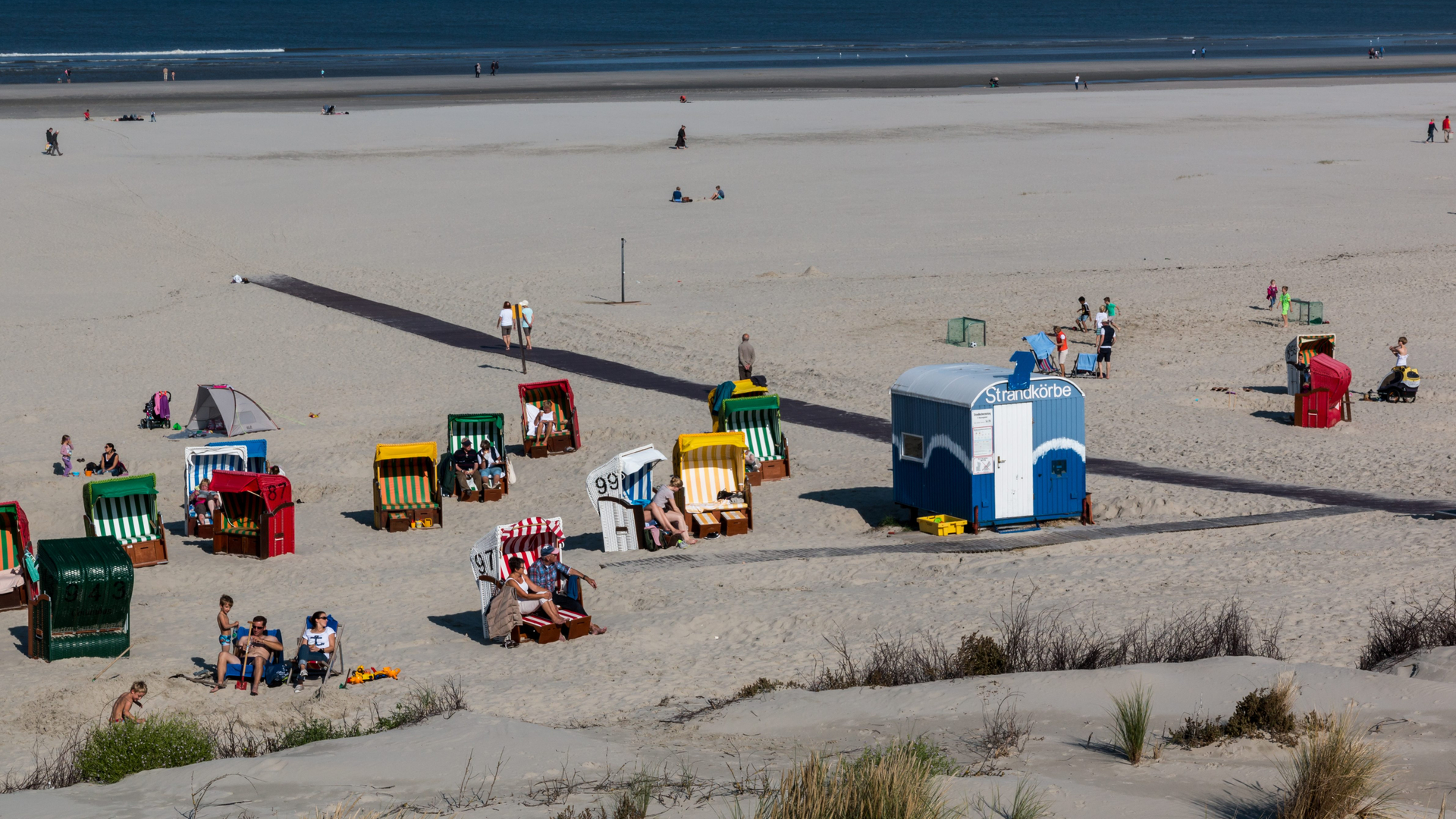 56cfa9fd-54a8-4e29-9a56-55d20c90279b-1605001651