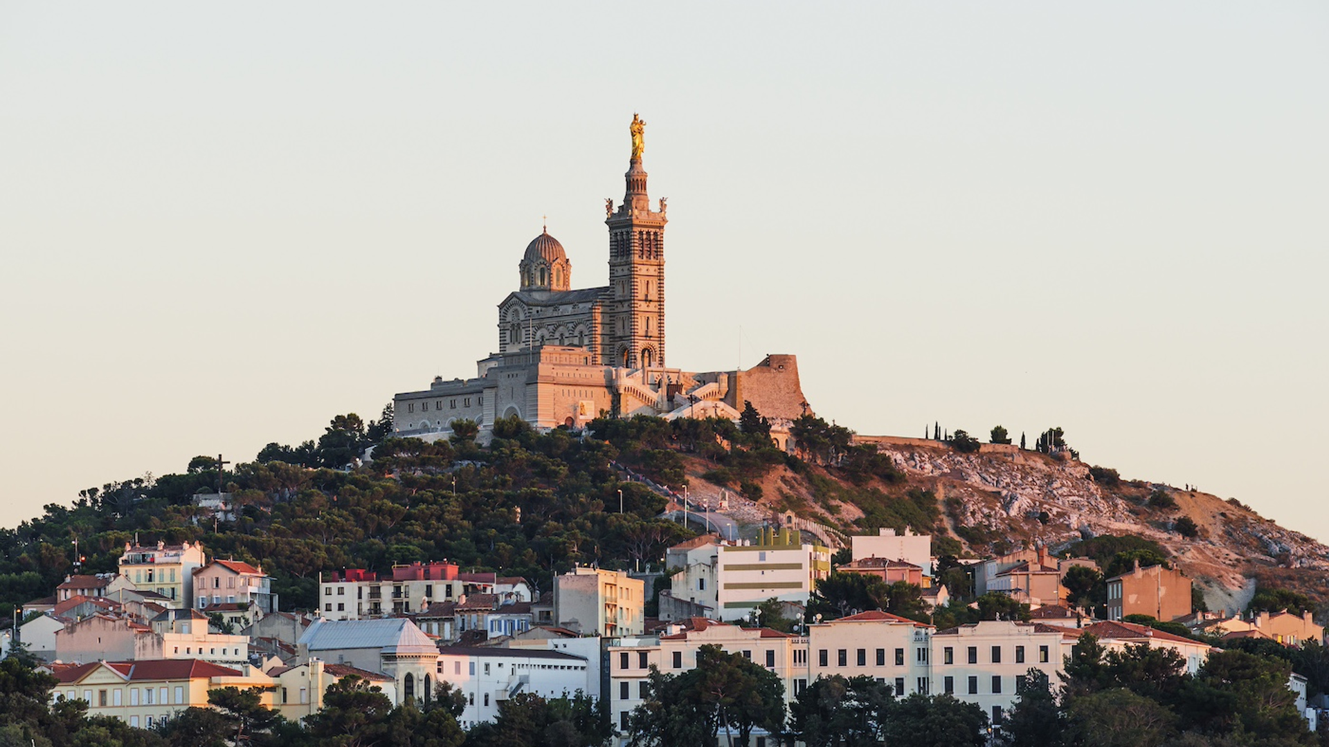 Zyankarlo-1712939240