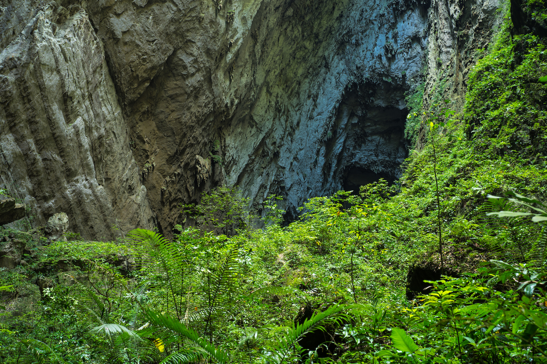 Vietnam_Stock_Images._-1668005224