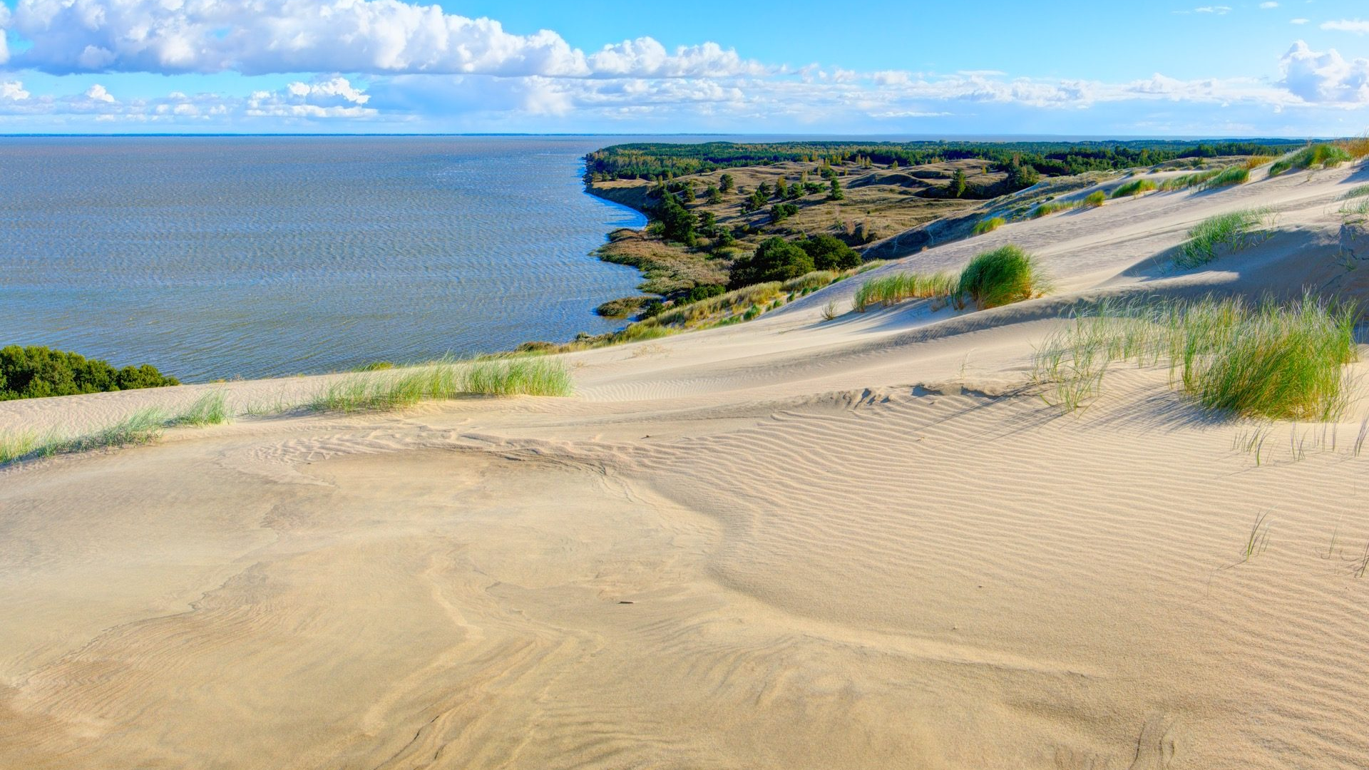 75370205-9379-4576-aae9-ab6e58b3ee8d-1605101229