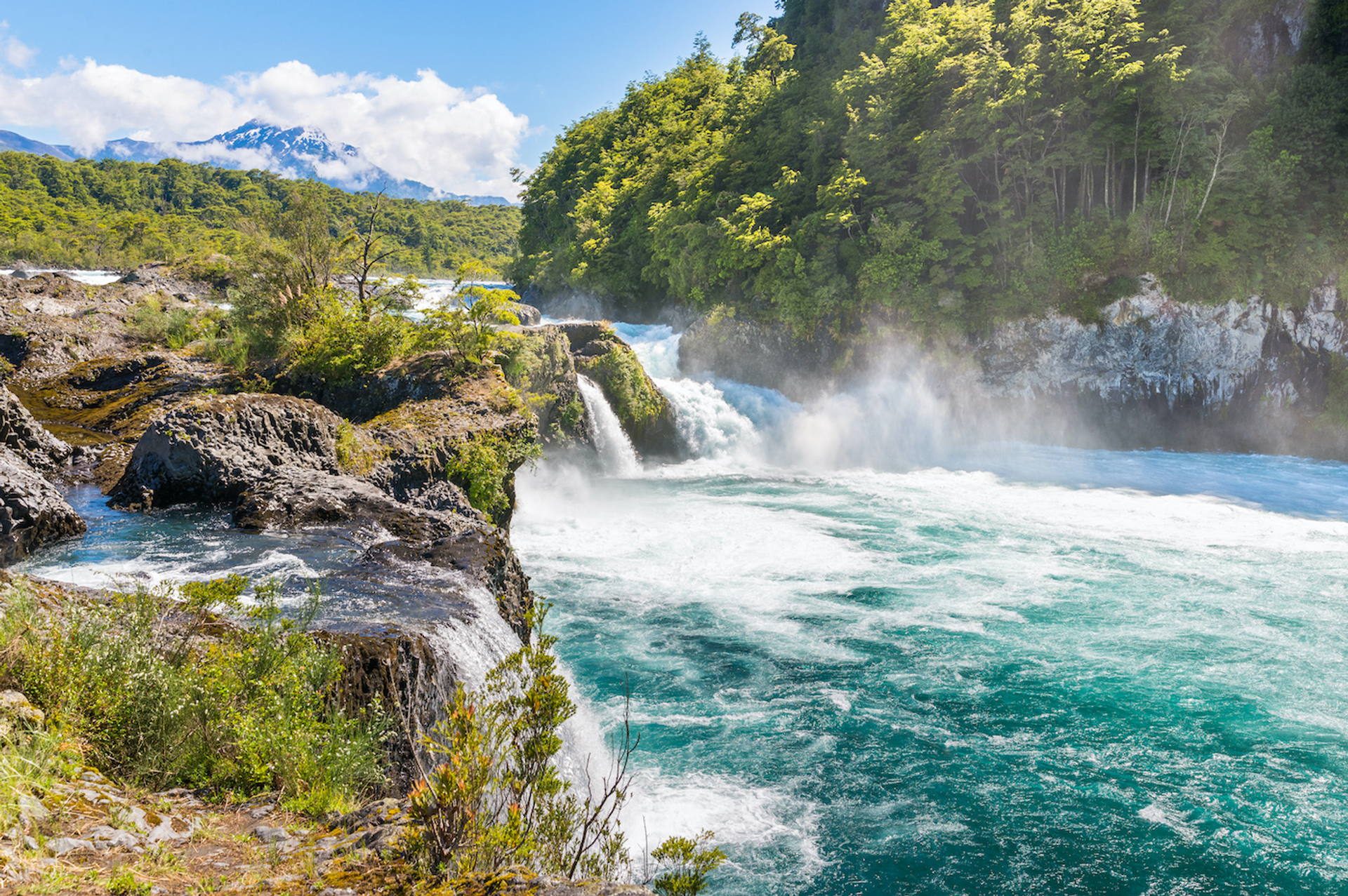 shutterstock_1652701237-1611229996