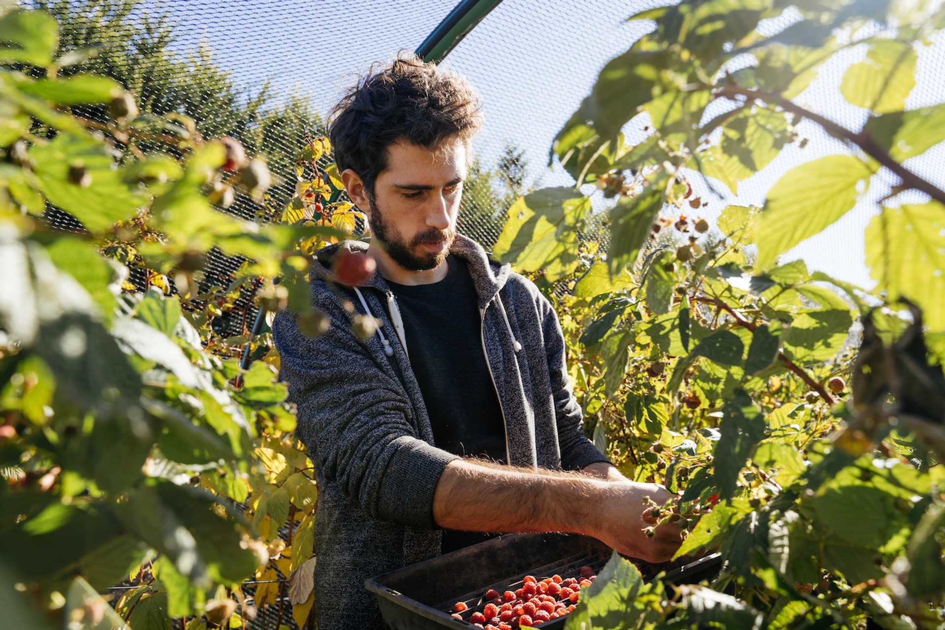 shutterstock_1820809532-1696490662