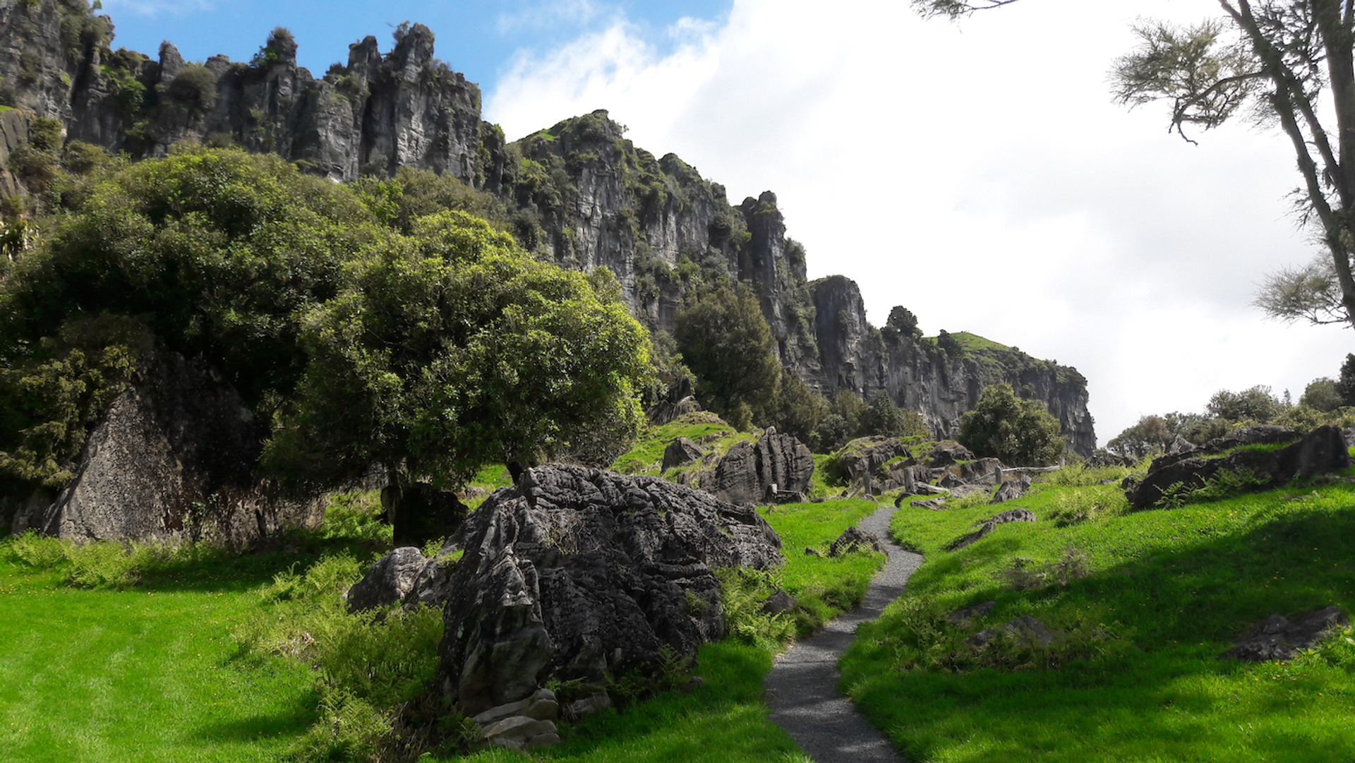 shutterstock_779460835-1652859176