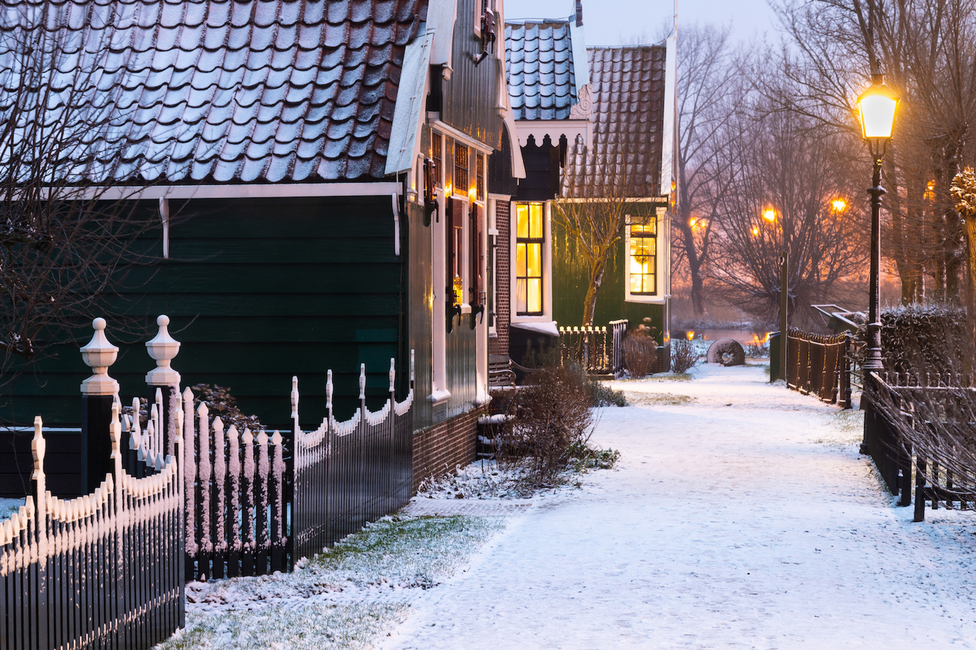 Jan_van_der_Wolf-1639136341