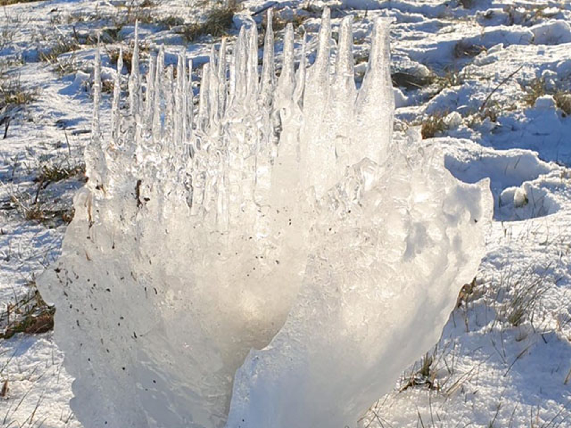 Els_Zoete__Oostvaardersdijk2-1614085669