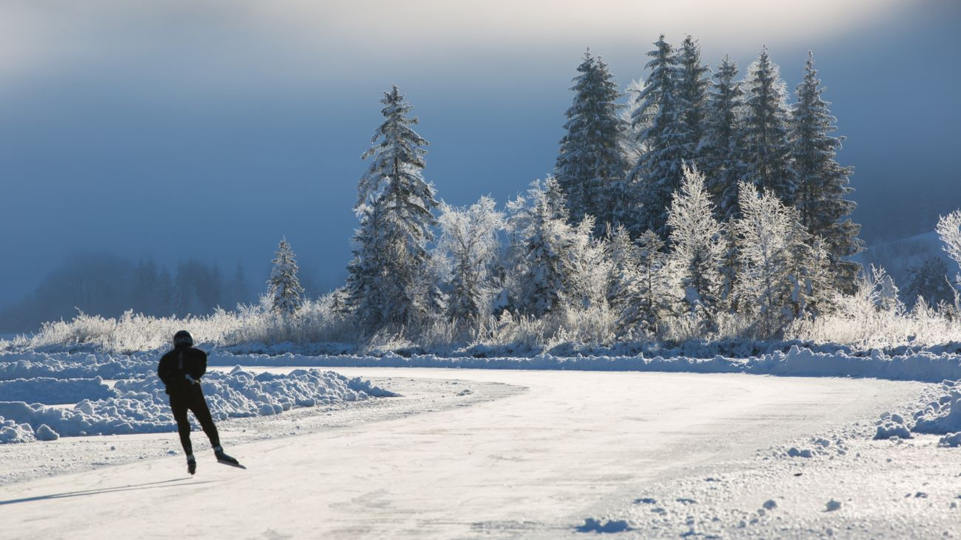 shutterstock_1587915373-1704798176