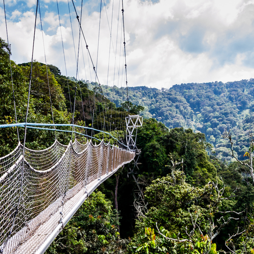 Nyungwe Forest National Park
