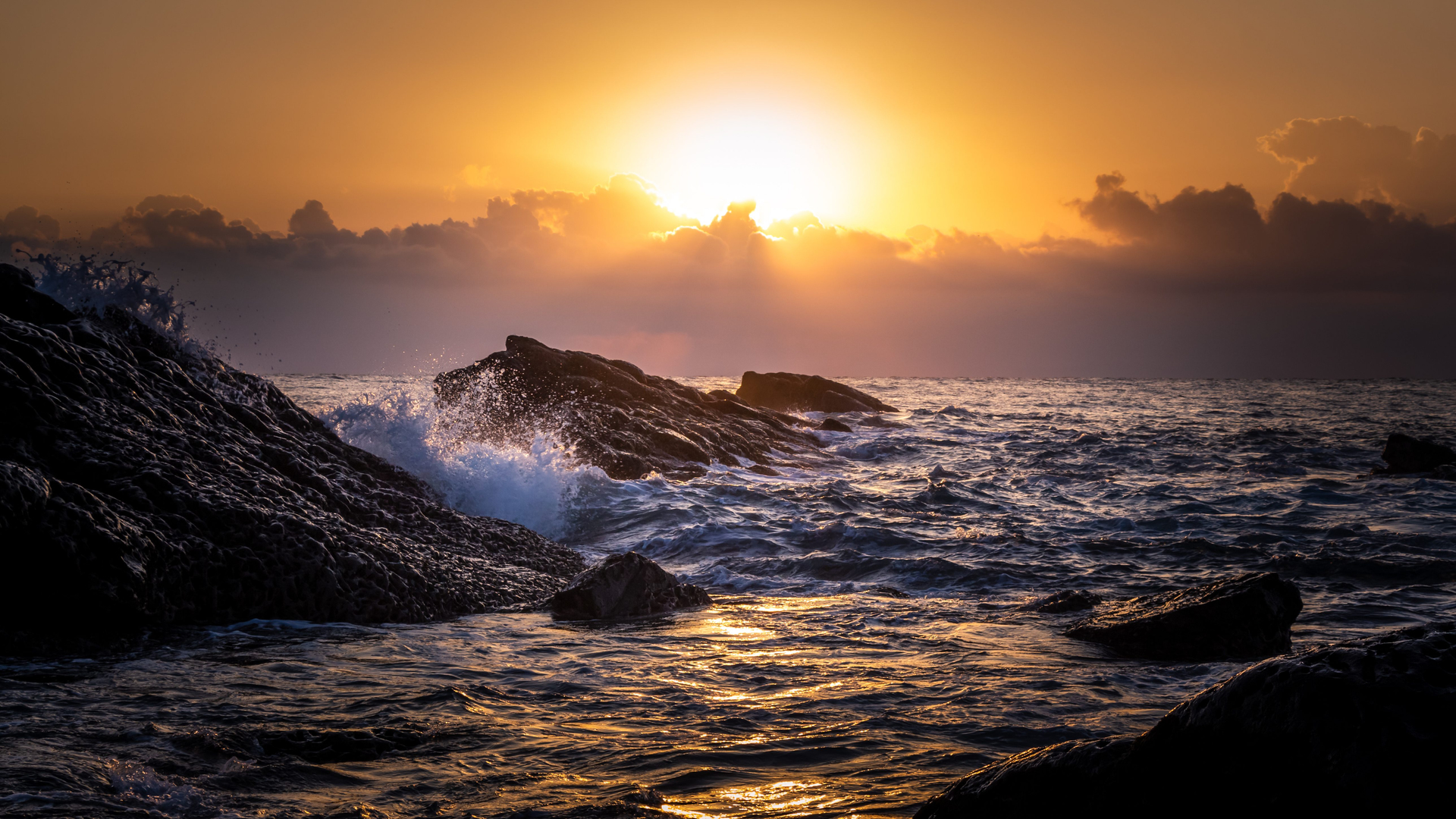 0e69bf48-367c-4f4f-80fa-52ae58242394-1605107249