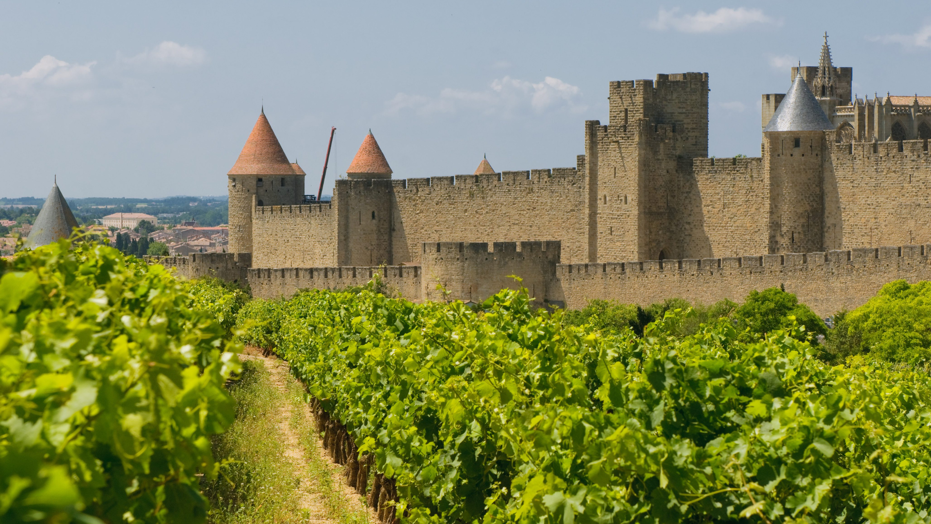 6eb84ba5-9839-45a1-b66d-f9589d5e94da-1605105637