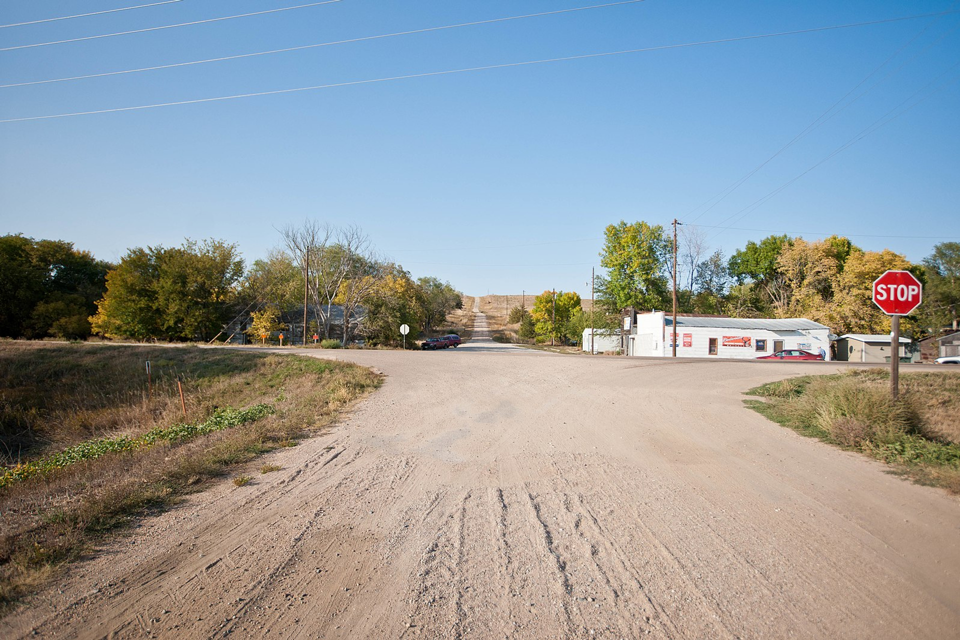 Andrew_Filer___Wikimedia.com_-1650627554