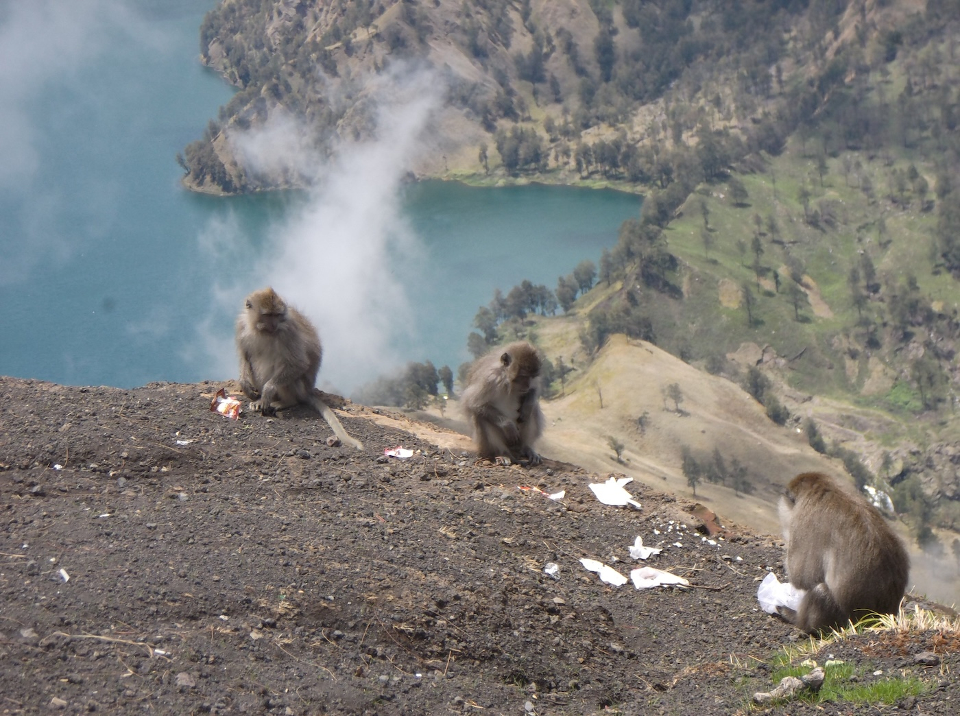 Rinjani_muhdipo12-1746707102