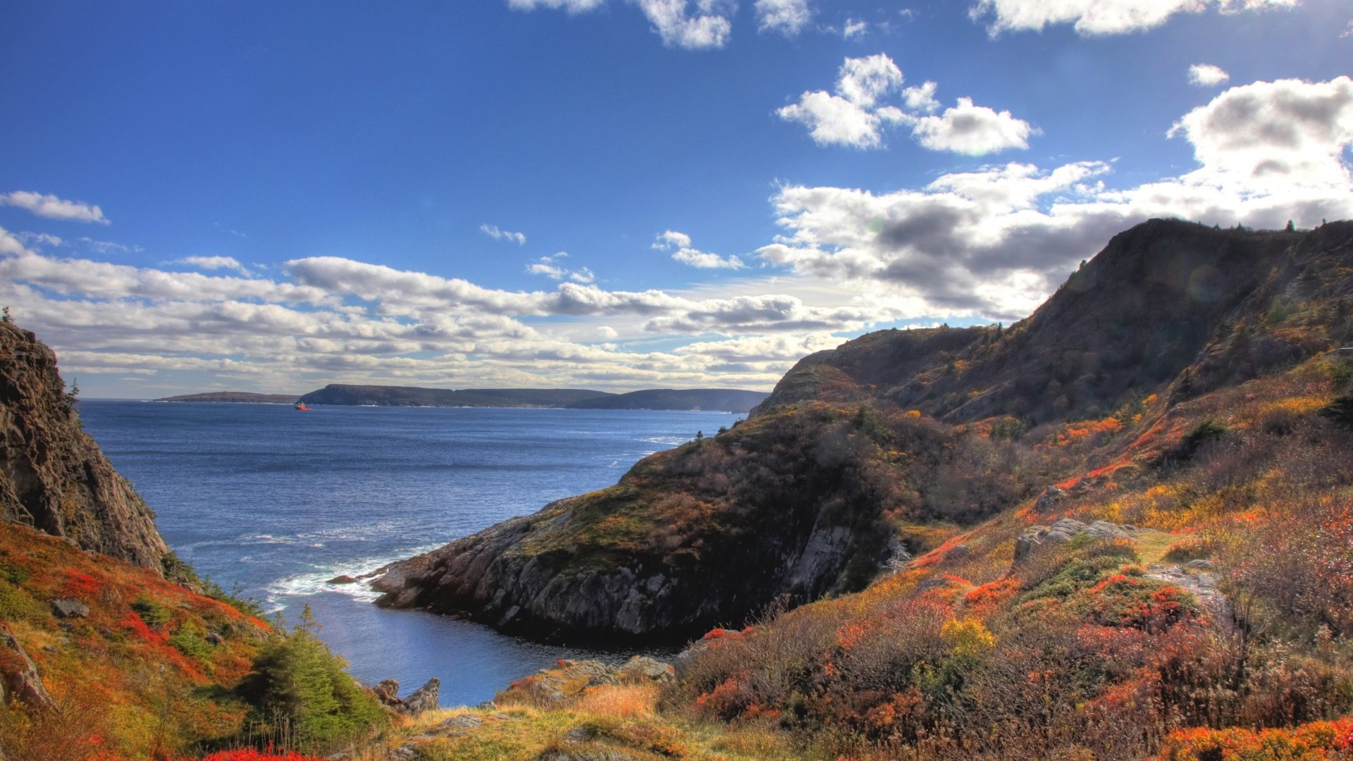 f012b541-413d-4272-82c8-b09a04d3b7fc-1605090496