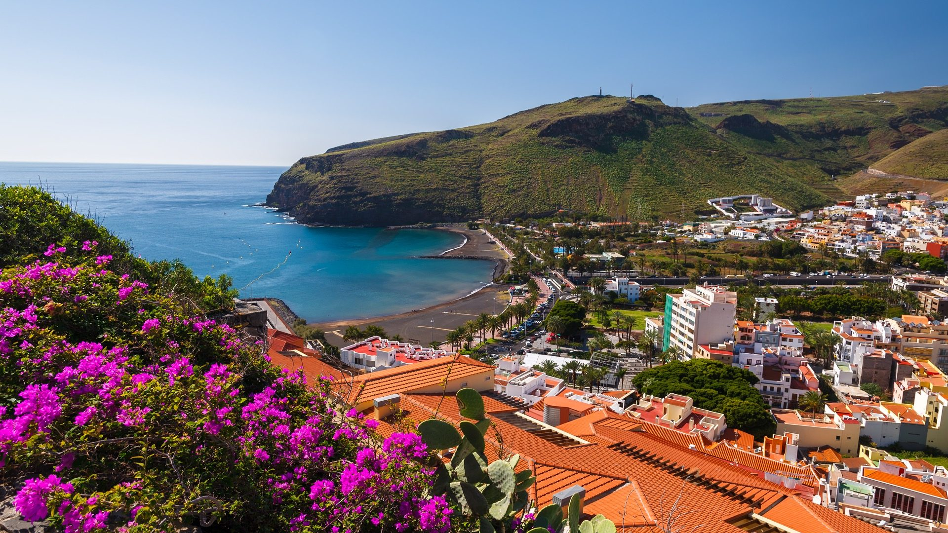 539fe4b2-2967-4203-8b8d-19402533f55d-1605101059