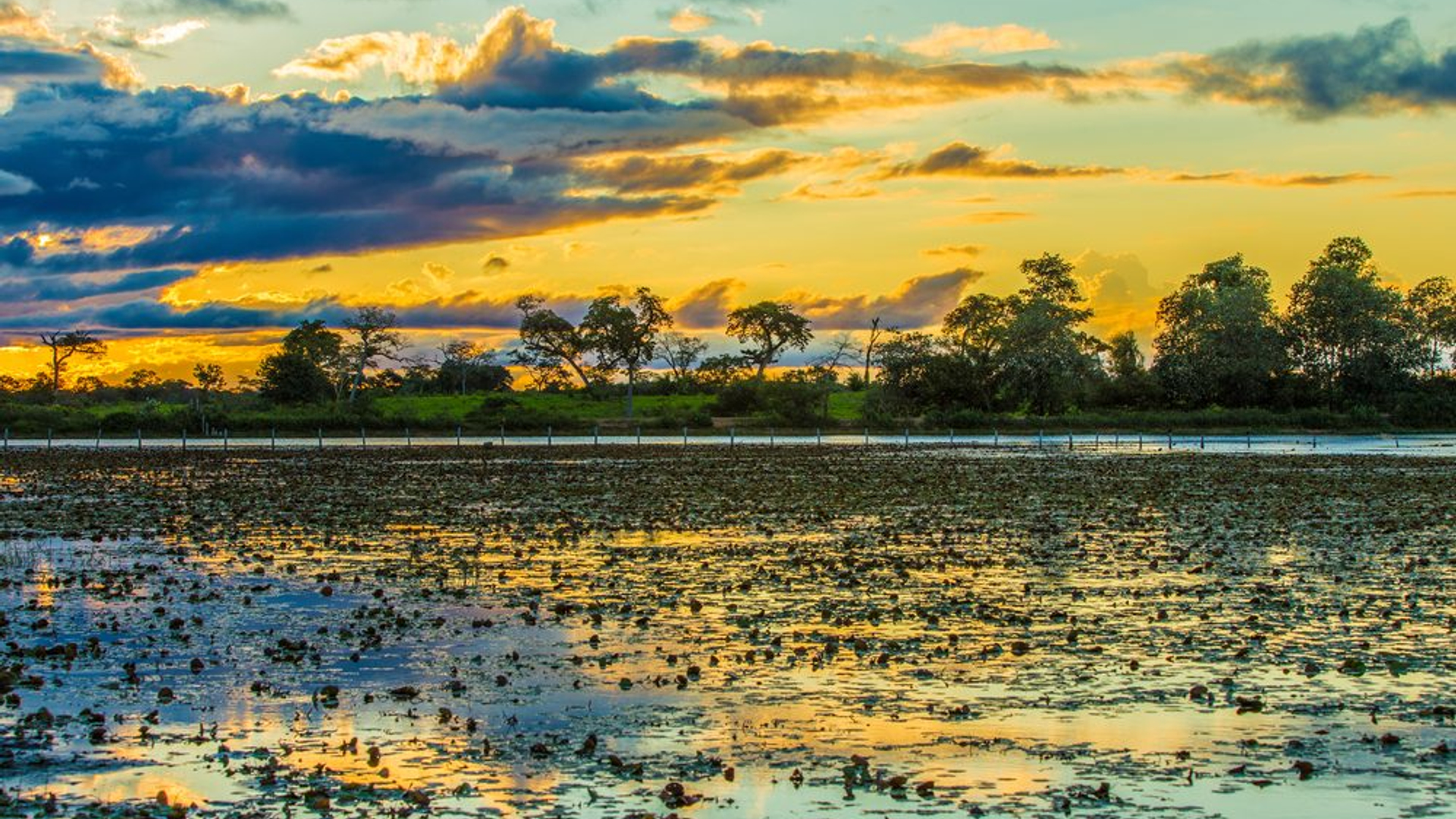 f4b1f6a7-eae5-44e0-a9ee-3bcdc16ca210-1605101431