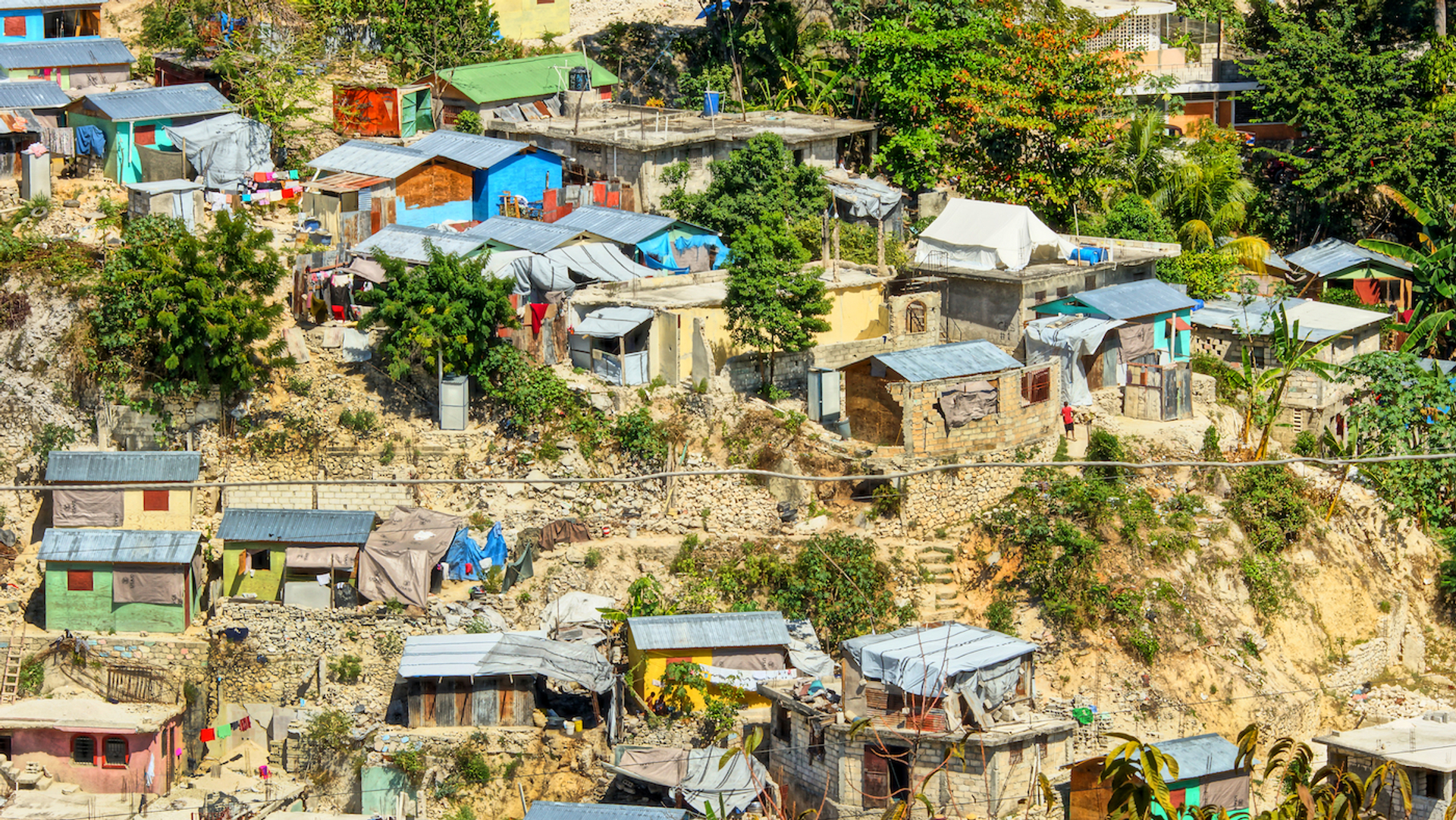 LighthunterWS-1643810041