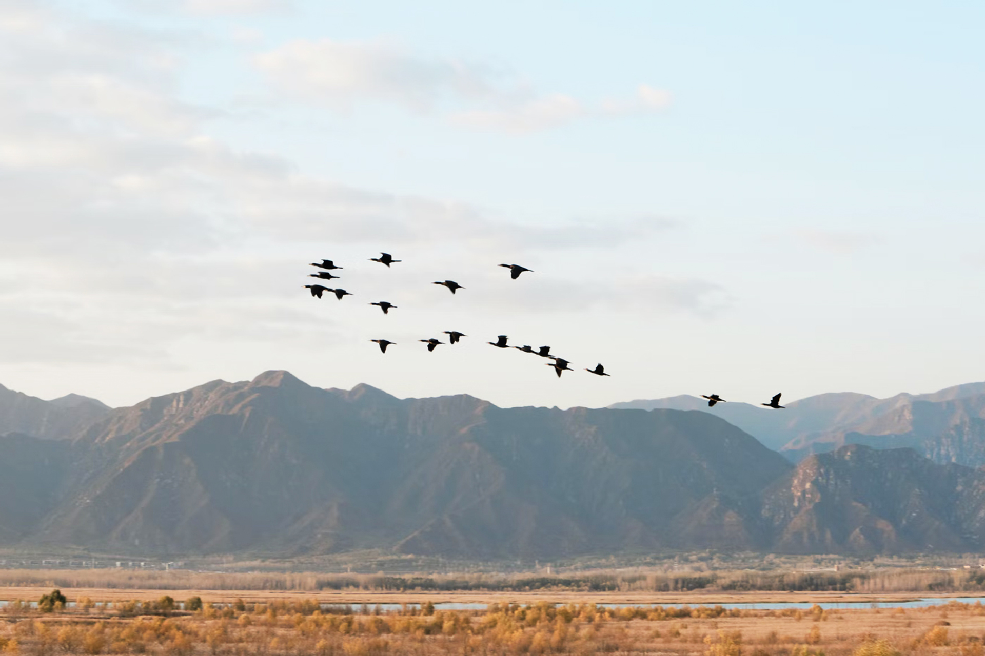 3OR_Yanqing_China-1644323137