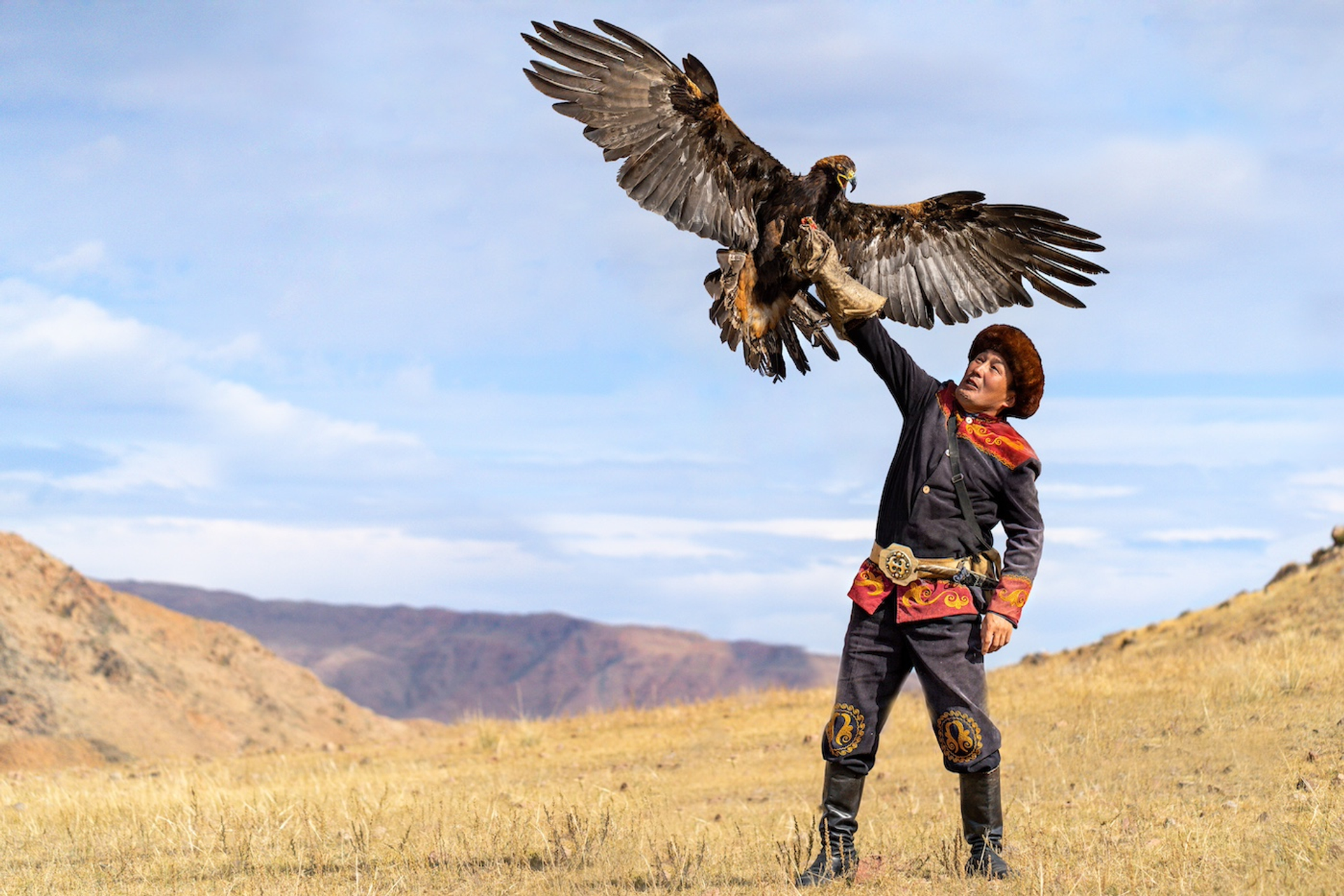 shutterstock_2234037201-1733496977