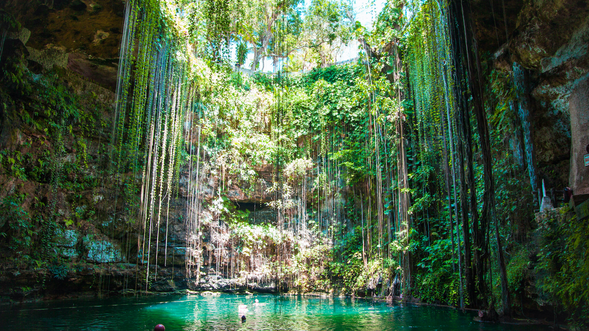 shutterstock_Tiago_Fialho-1638974100