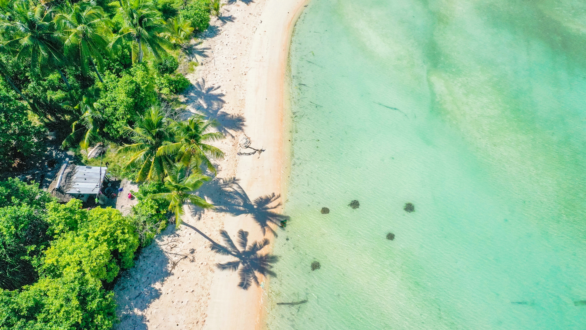 Romaine_W-1666282191