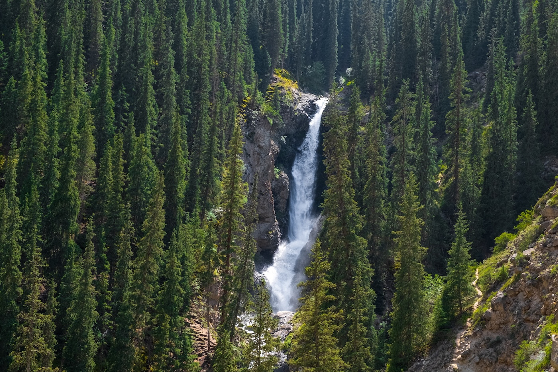 Stocker_plus-1733506247