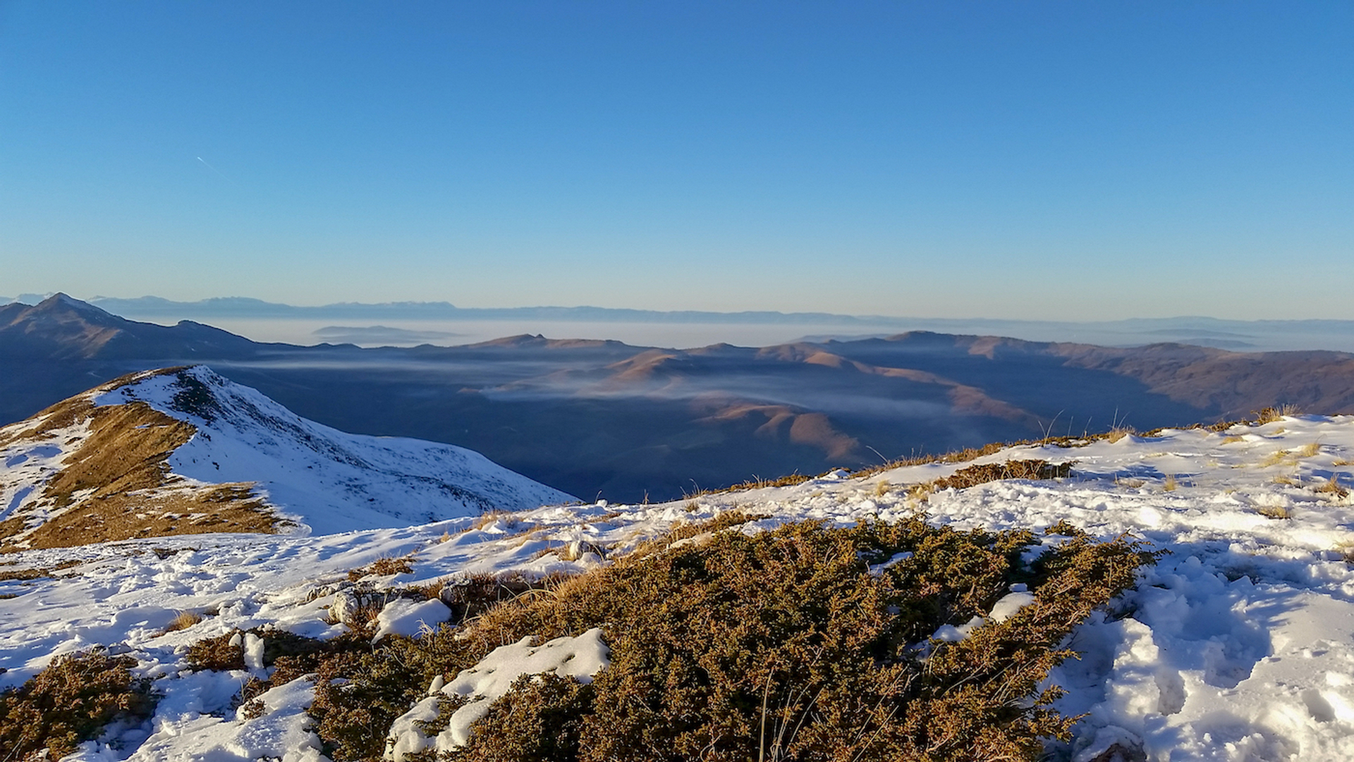 shutterstock_1113203393-1639147049