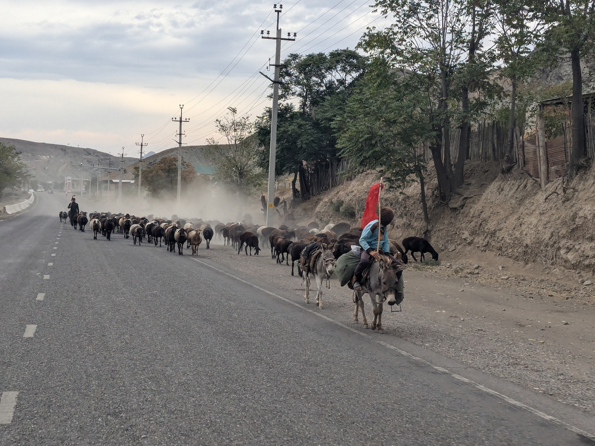 PXL_20240926_032457082-1728486799