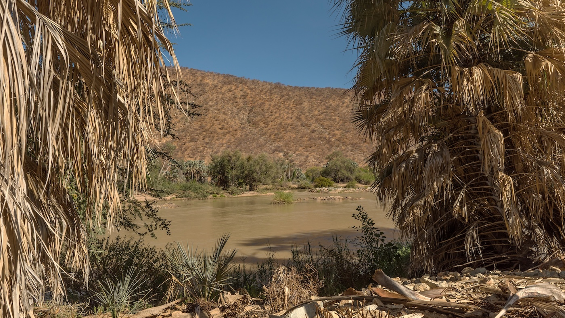 shutterstock_2104978817-1731485592