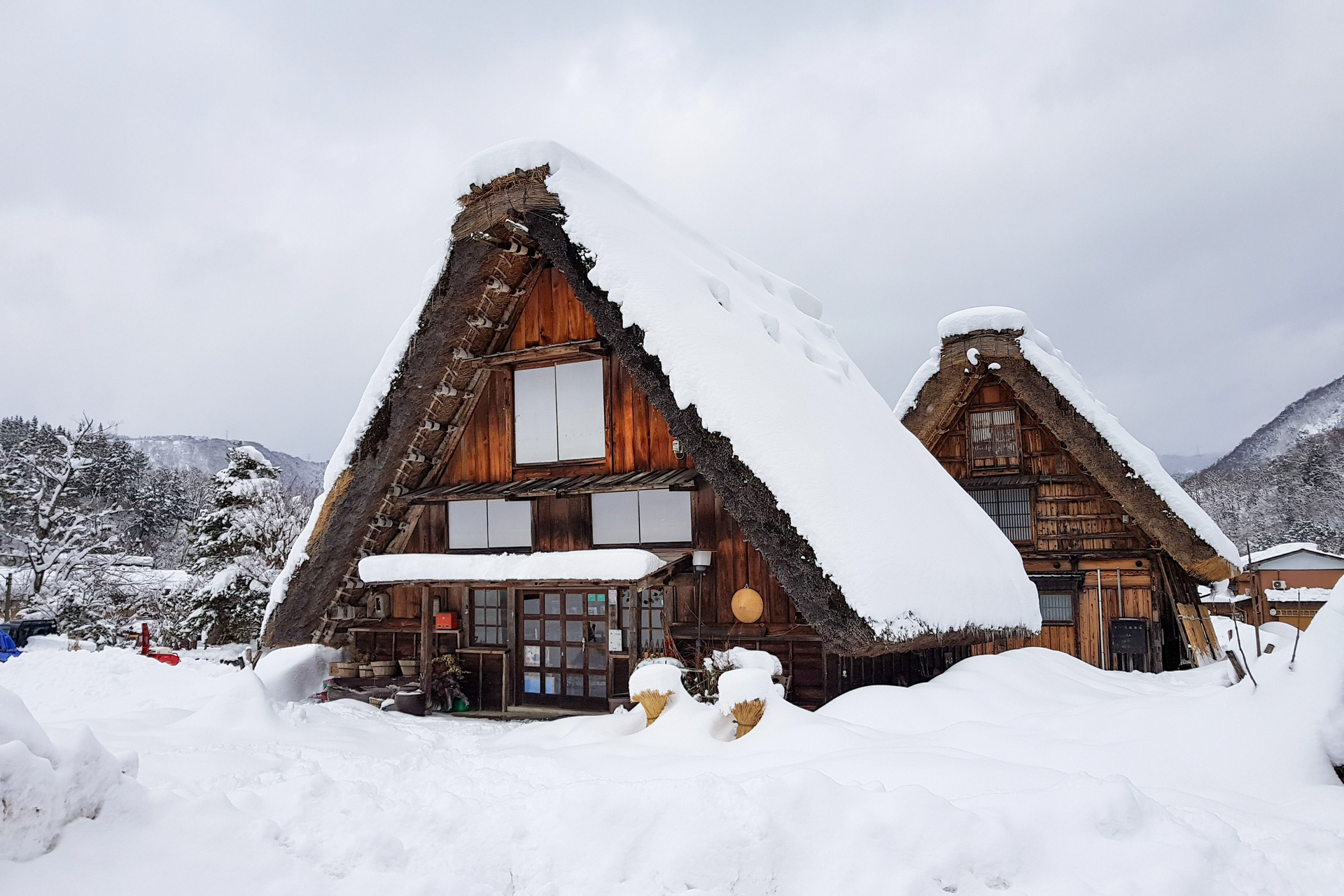 shutterstock_1323274559-1667987758