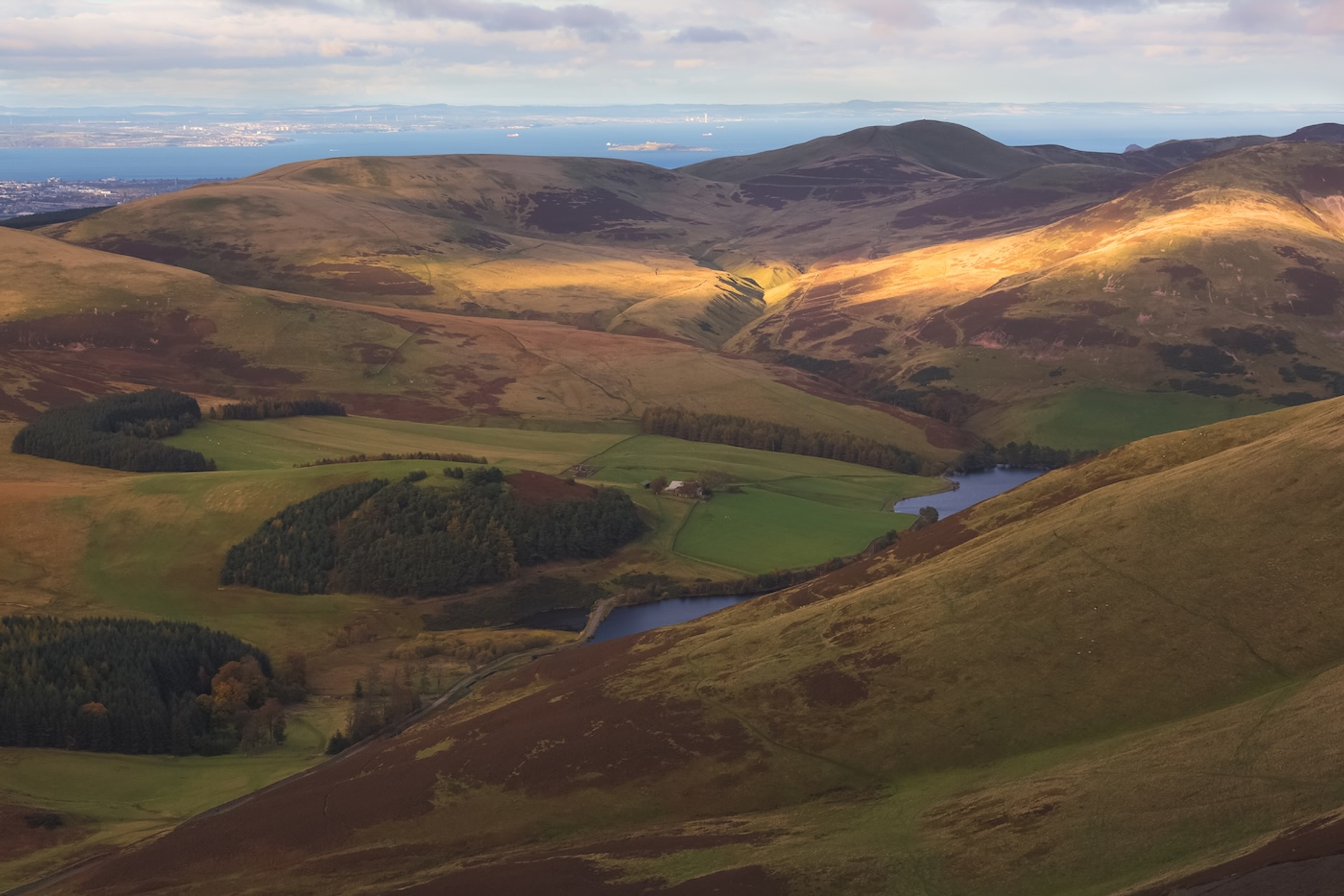 shutterstock_1904073178-1752666190