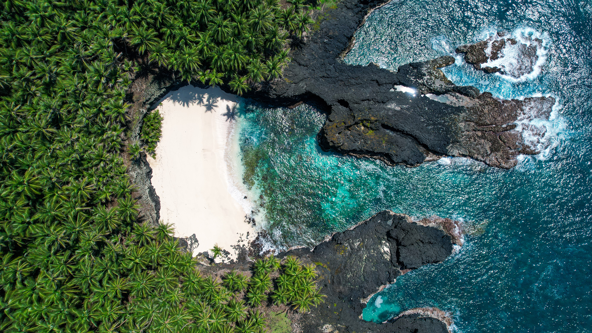 shutterstock_2085702823-1666955227