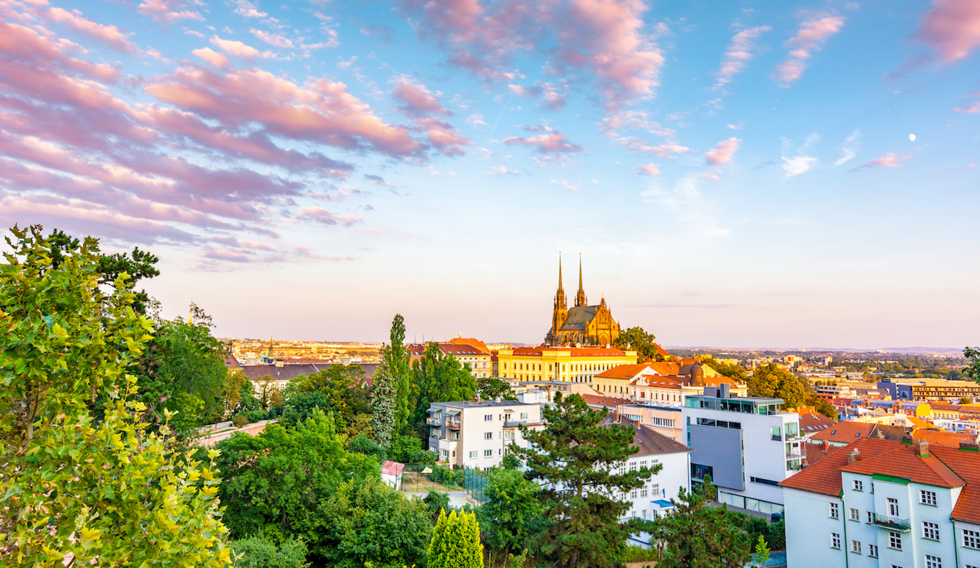 shutterstock_1207679893-1655725344