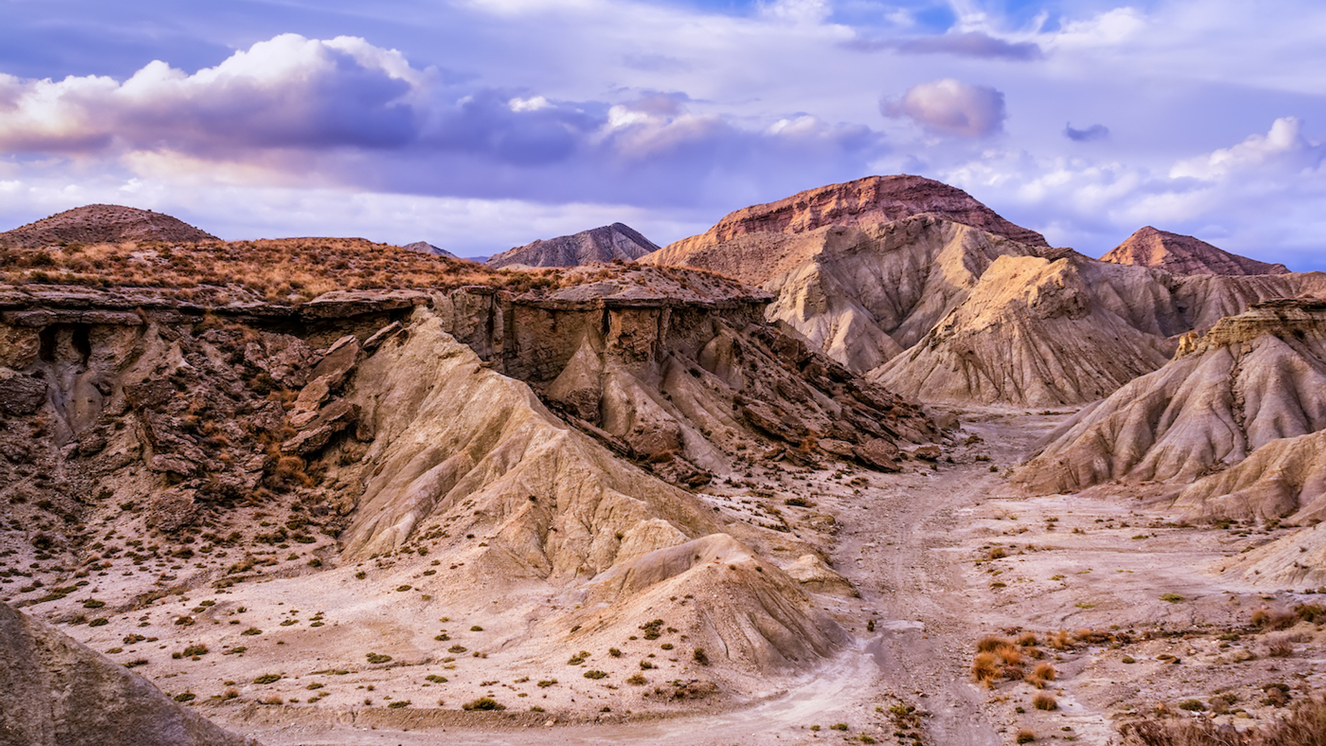 Eusebio_Torres-1692956527