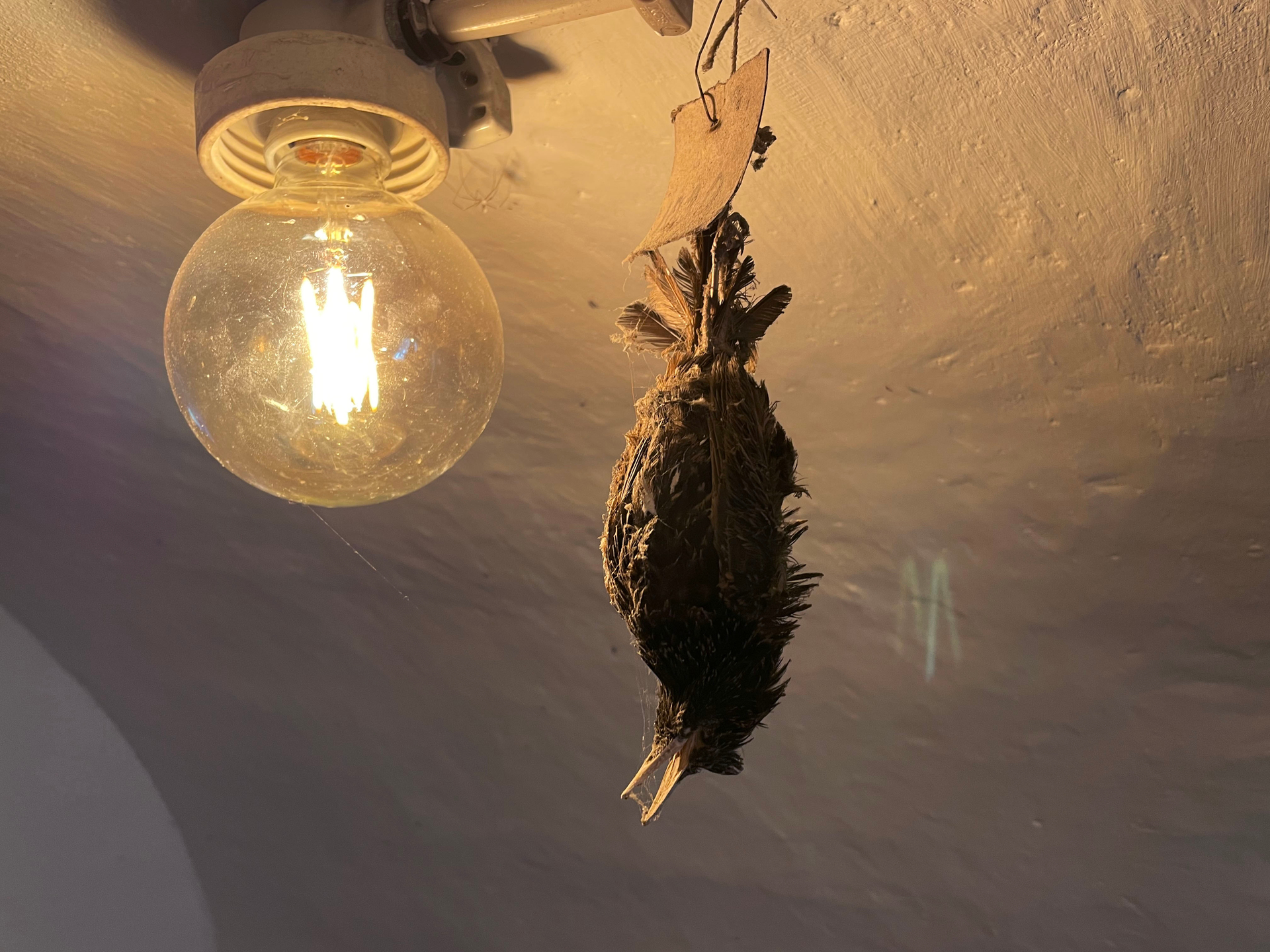 image00051_kopi_ren-1674569857