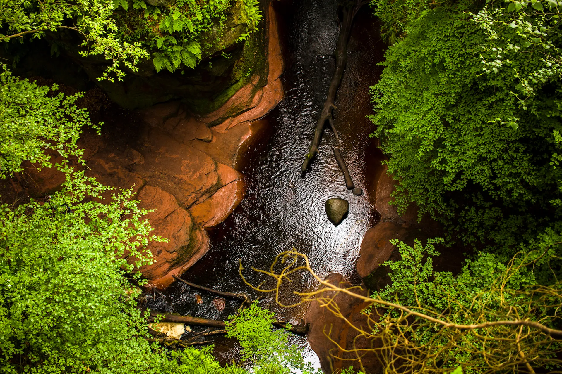 shutterstock_1425898817-1645098525