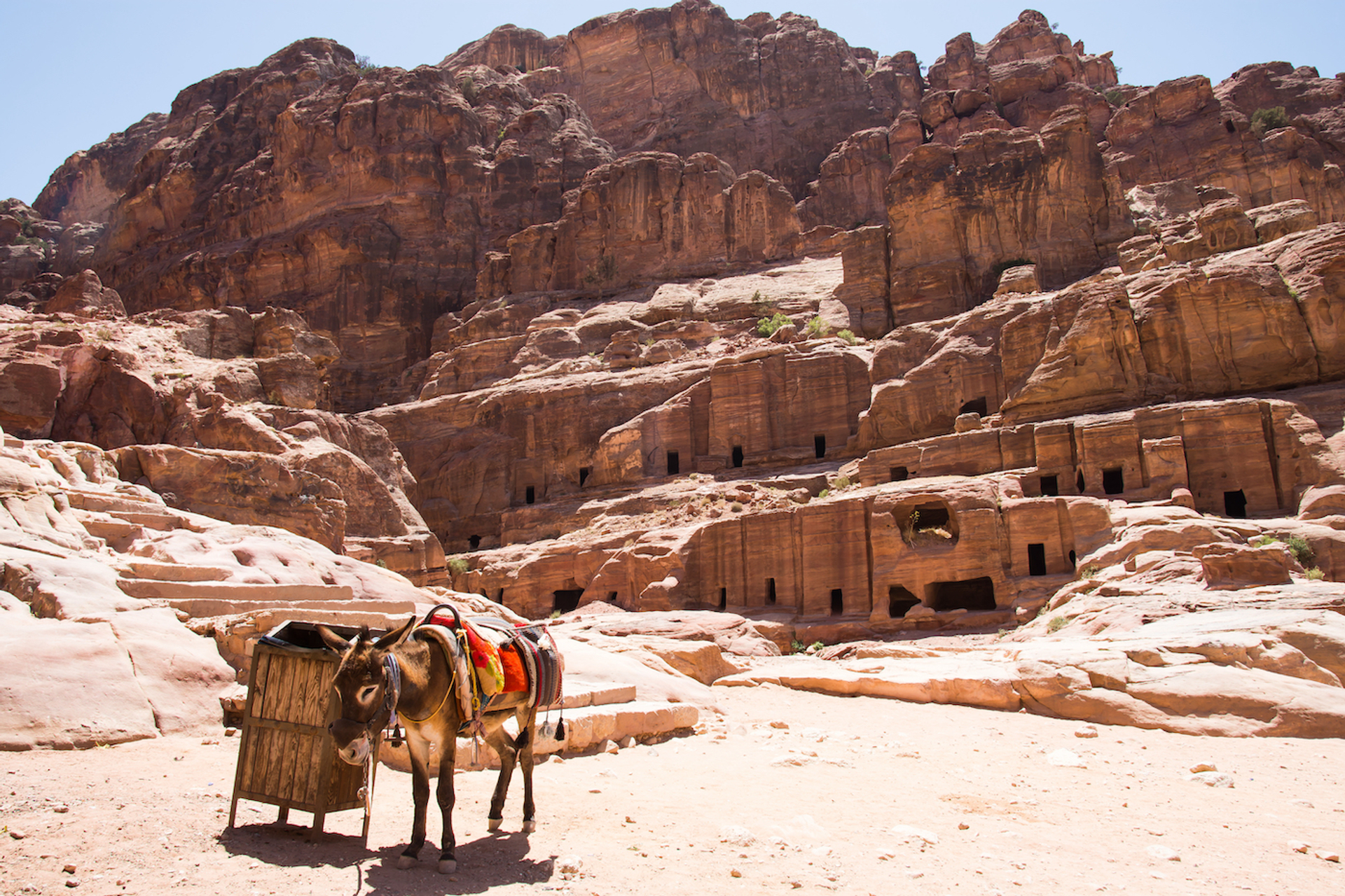 shutterstock_646781884-1689153115