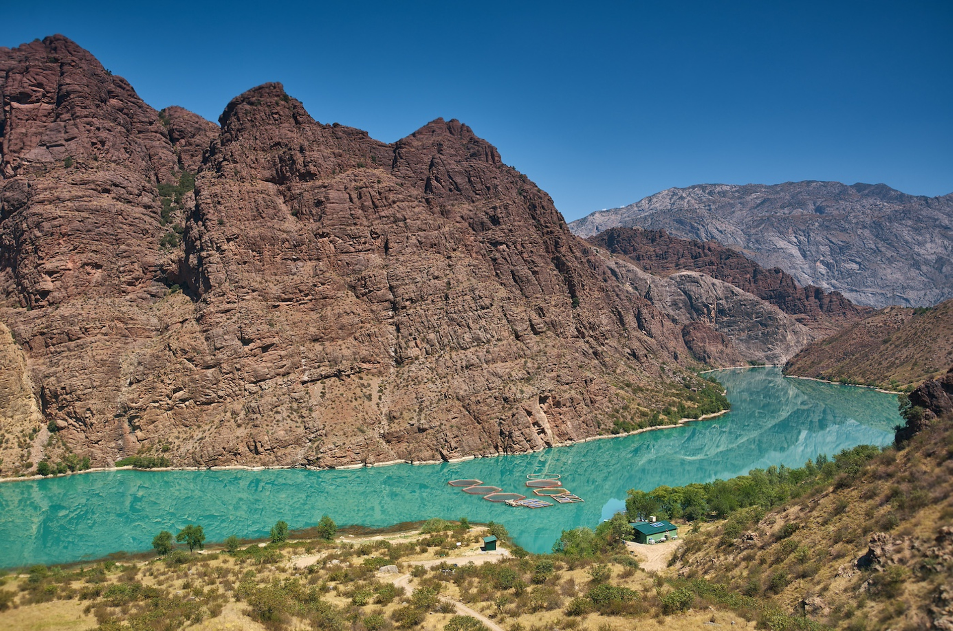 shutterstock_1171471825-1733496482