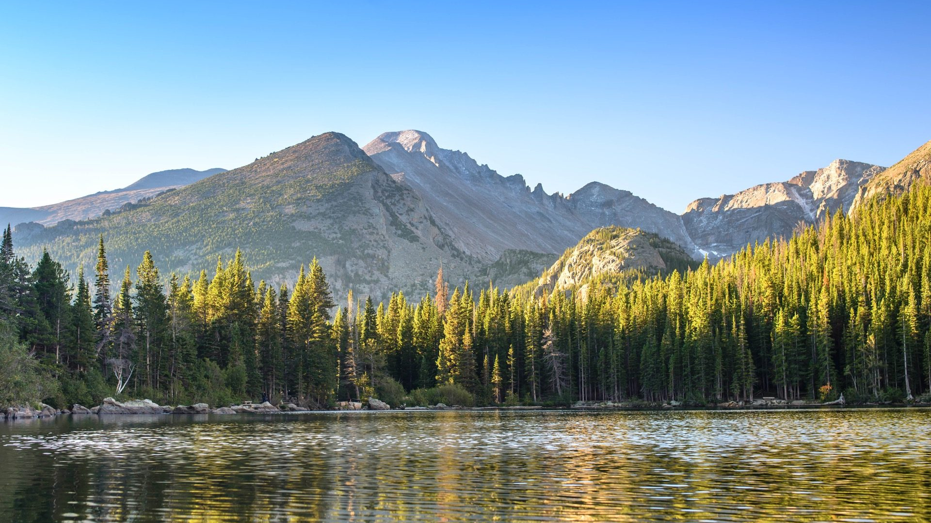 9f8d52da-75c5-4c6f-ad4e-b17eea0b2b88-1605104109