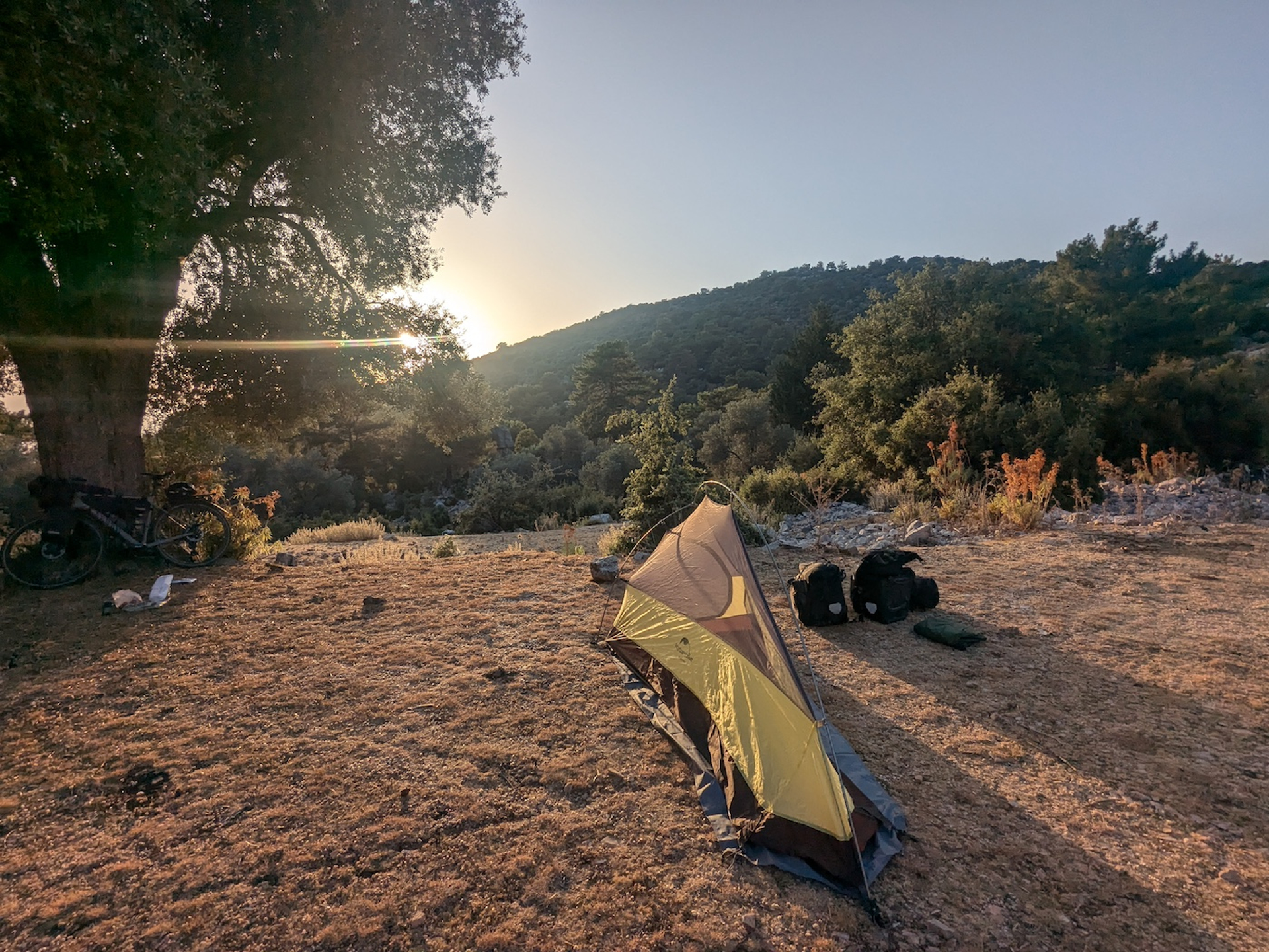 PXL_20240627_163851949-1728486676